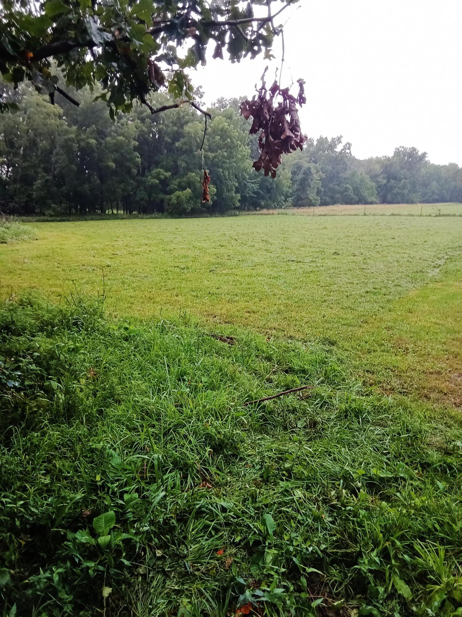 Photo 8 - Land for sale – 000  Fraker Road   Buffalo, MO