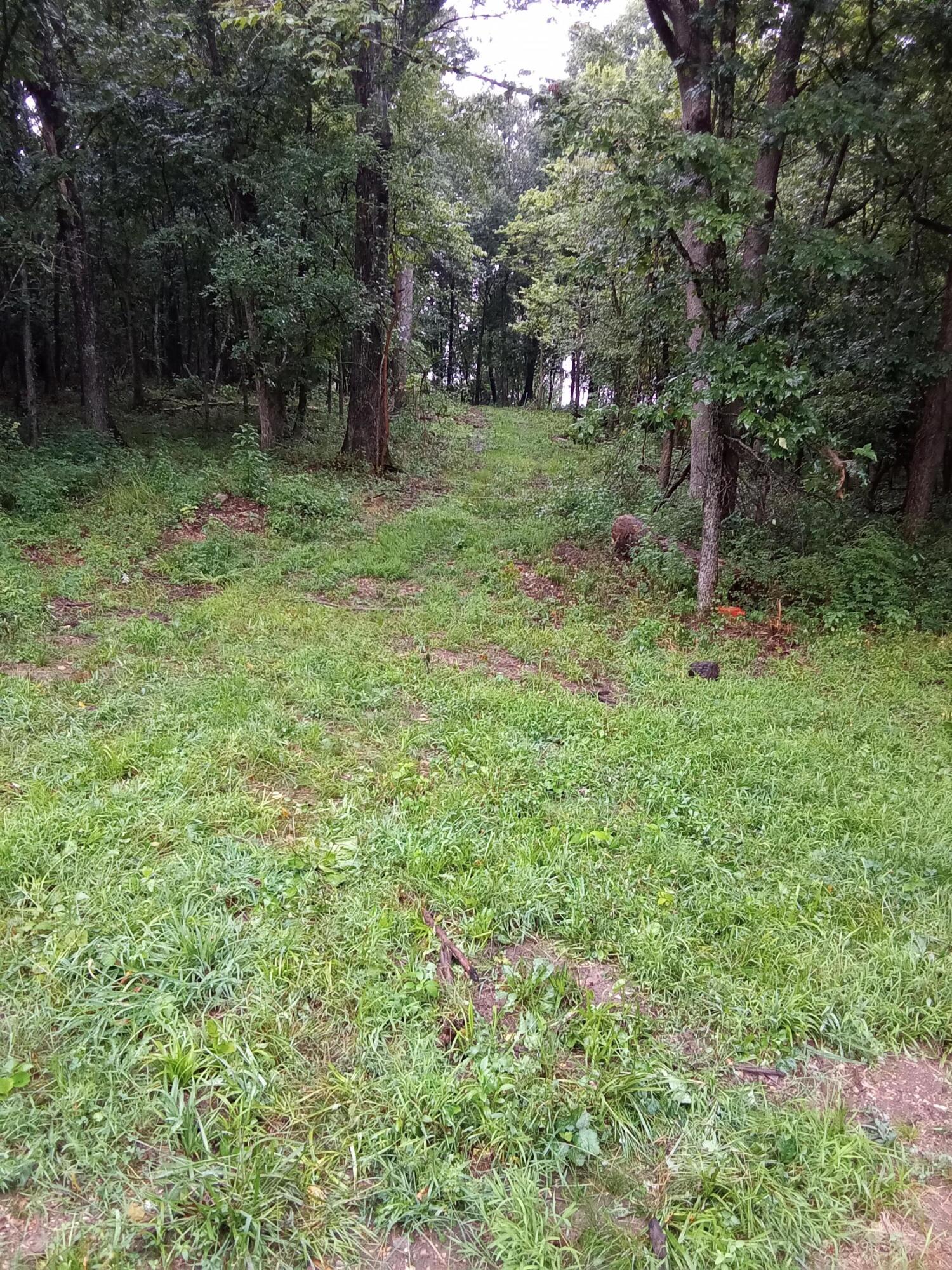 Photo 3 - Land for sale – 000  Fraker Road   Buffalo, MO