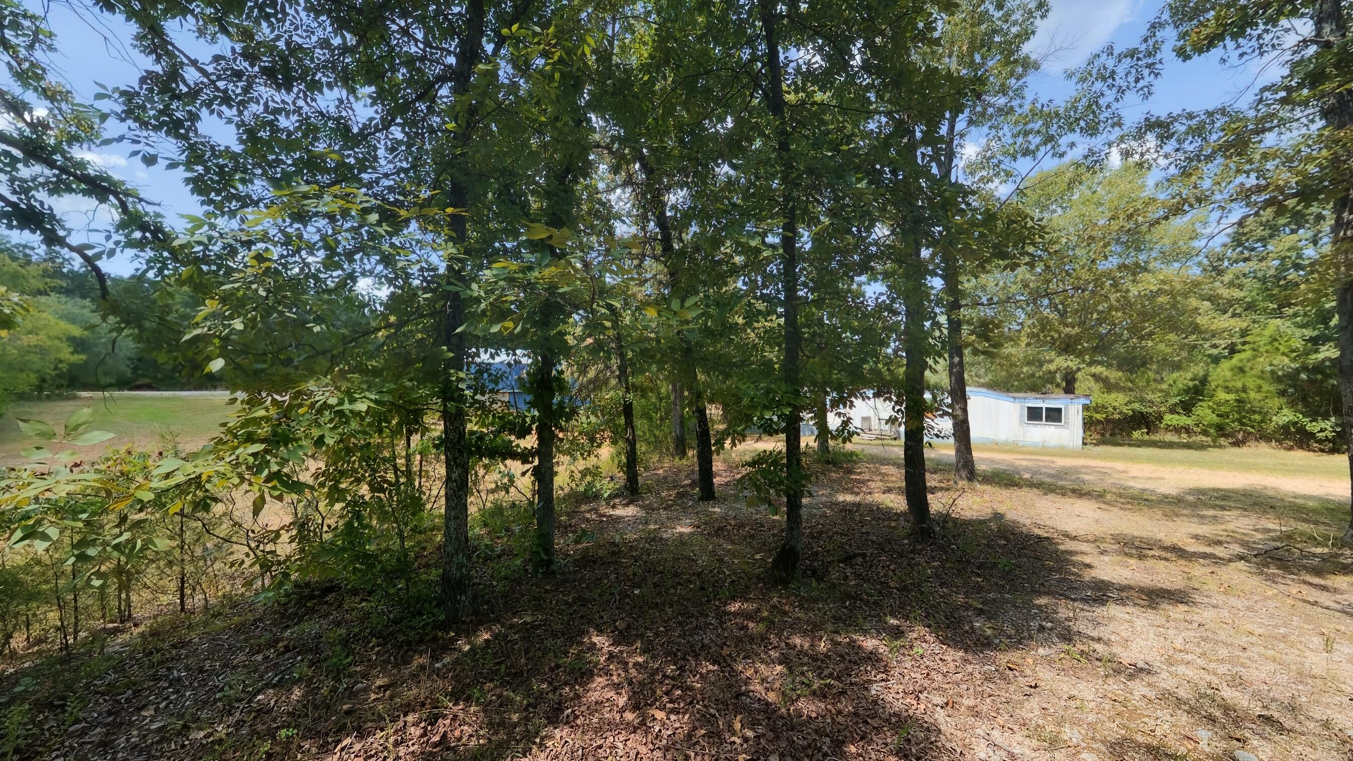 Photo 33 - Residential for sale – 14524  Missouri 17   West Plains, MO