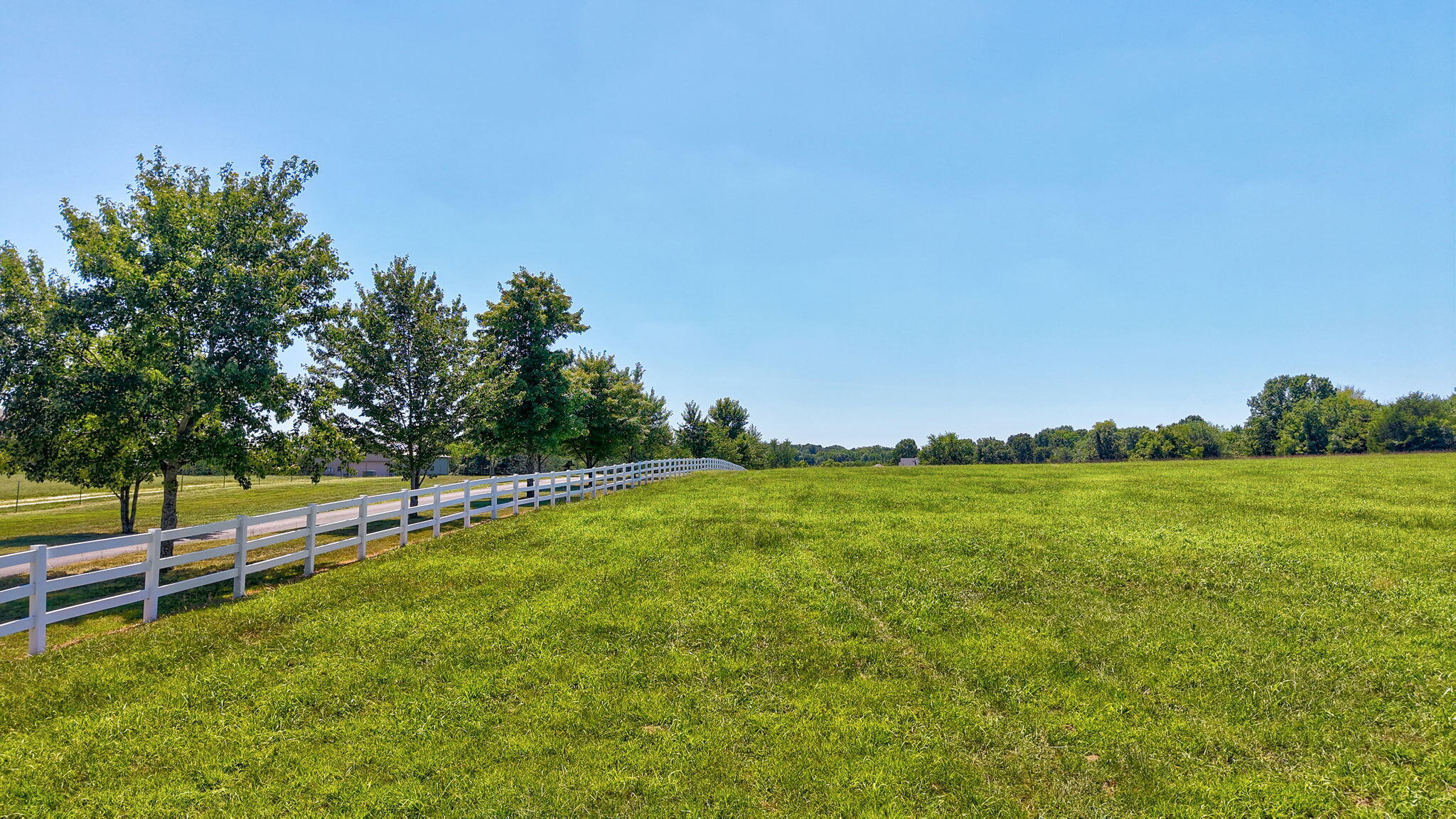 Photo 3 - Land for sale – 11900 W Farm Road 144   Bois D Arc, MO