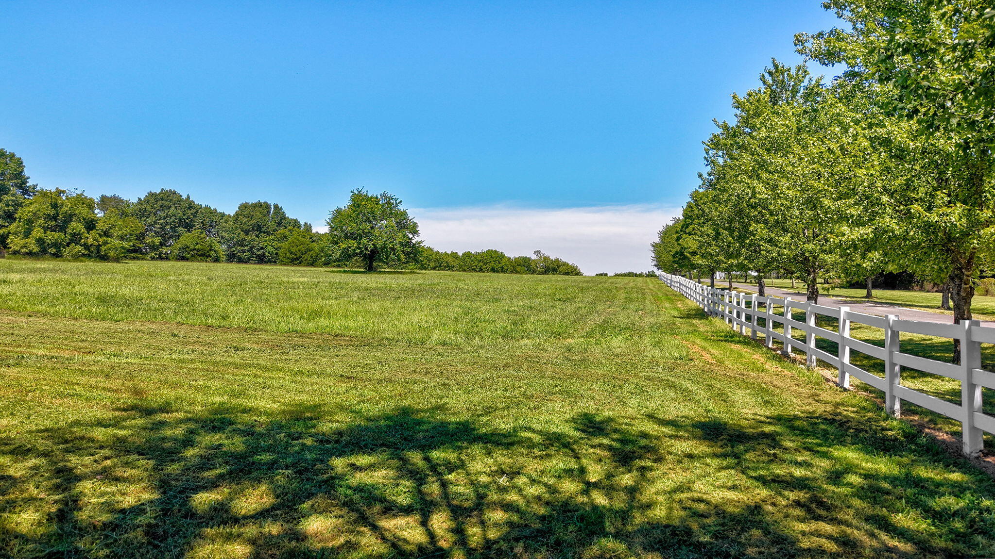 Photo 6 - Land for sale – 11900 W Farm Road 144   Bois D Arc, MO