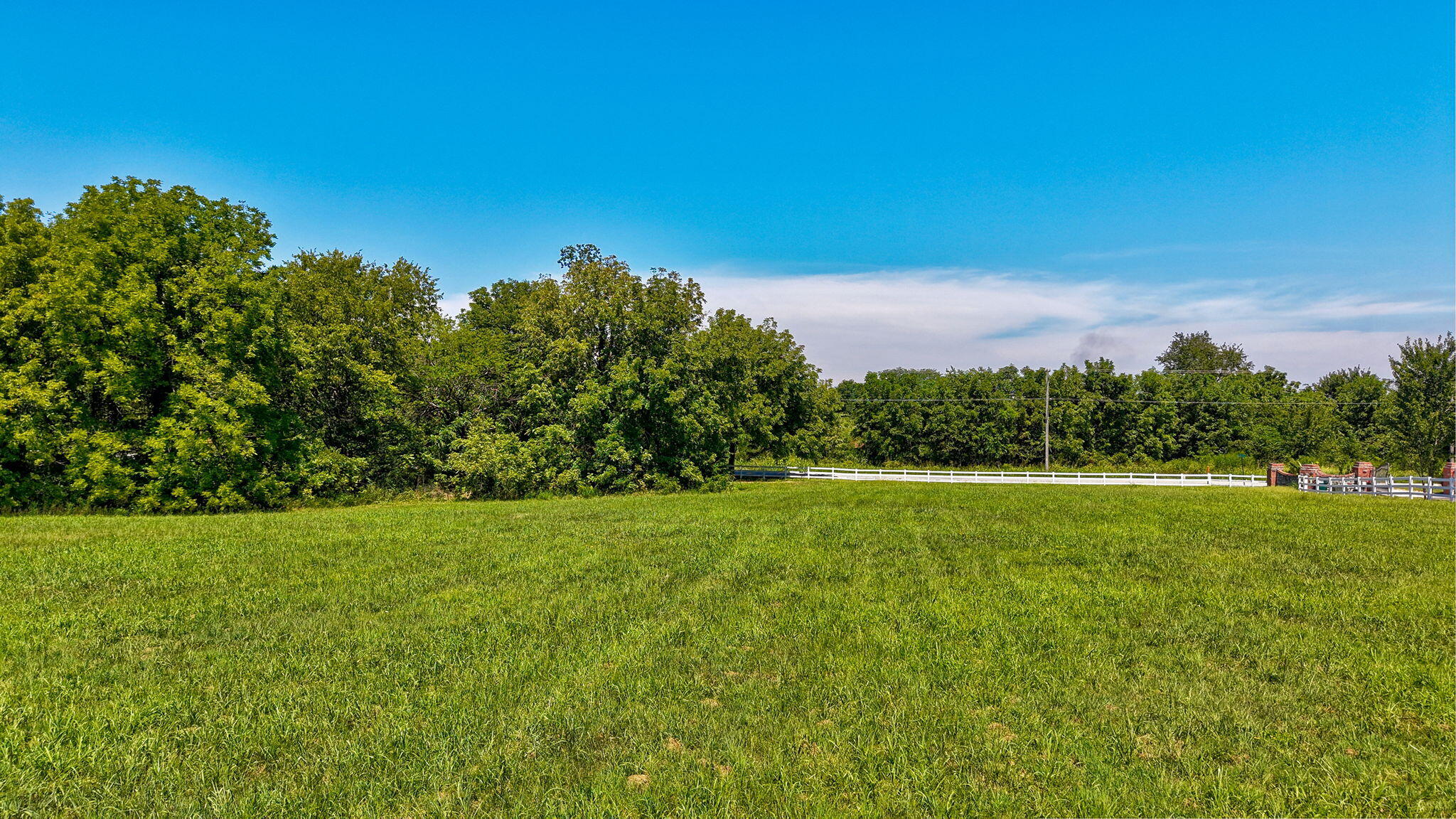 Photo 4 - Land for sale – 11900 W Farm Road 144   Bois D Arc, MO