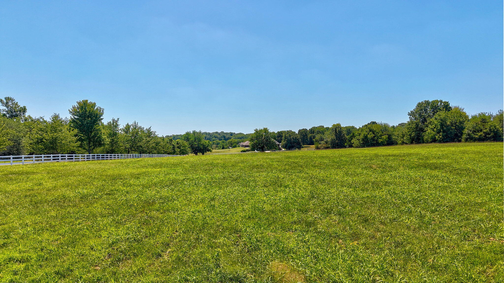 Photo 5 - Land for sale – 11900 W Farm Road 144   Bois D Arc, MO