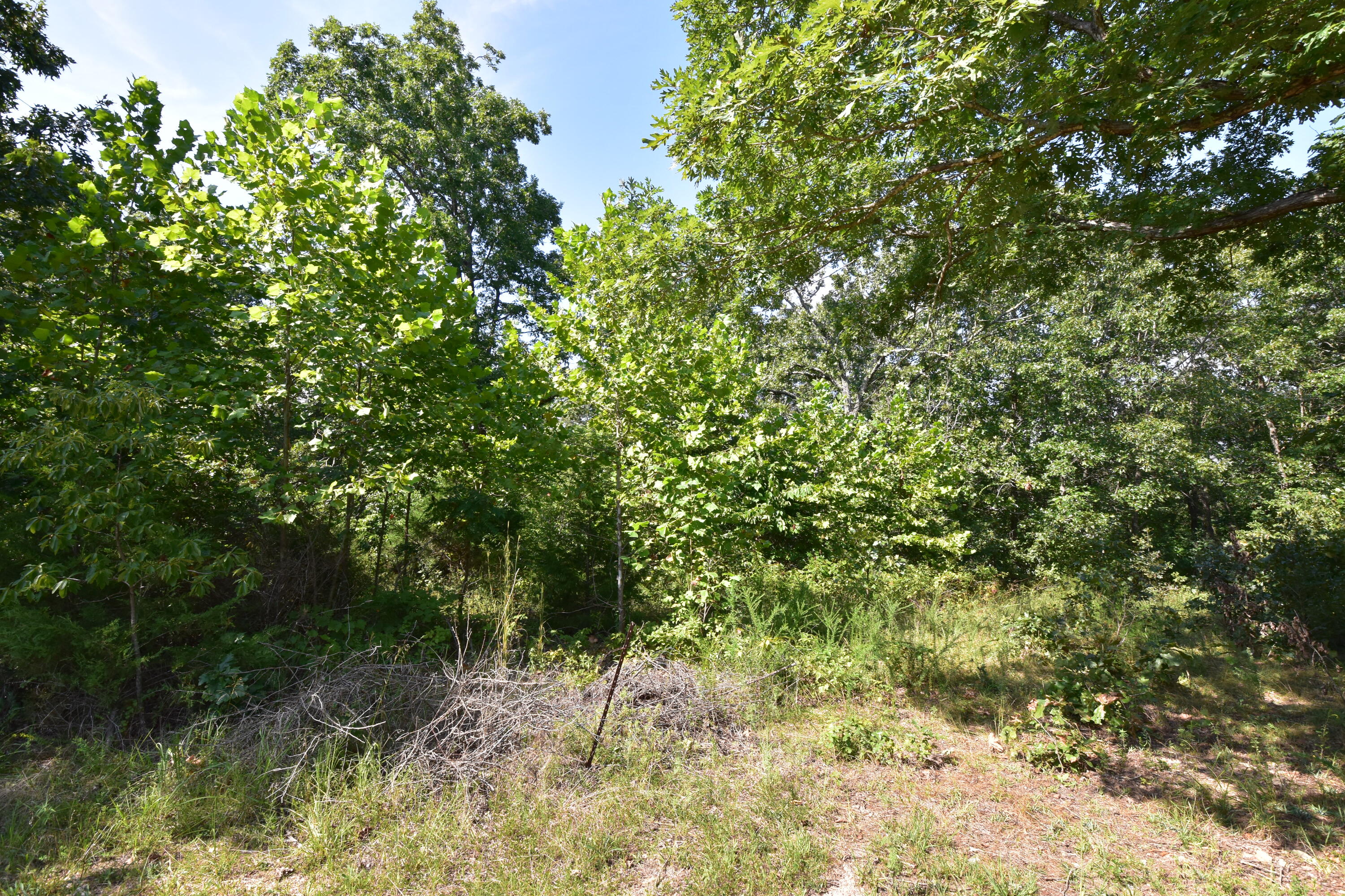 Photo 3 - Land for sale – 000  Deckard Road  Fordland, MO