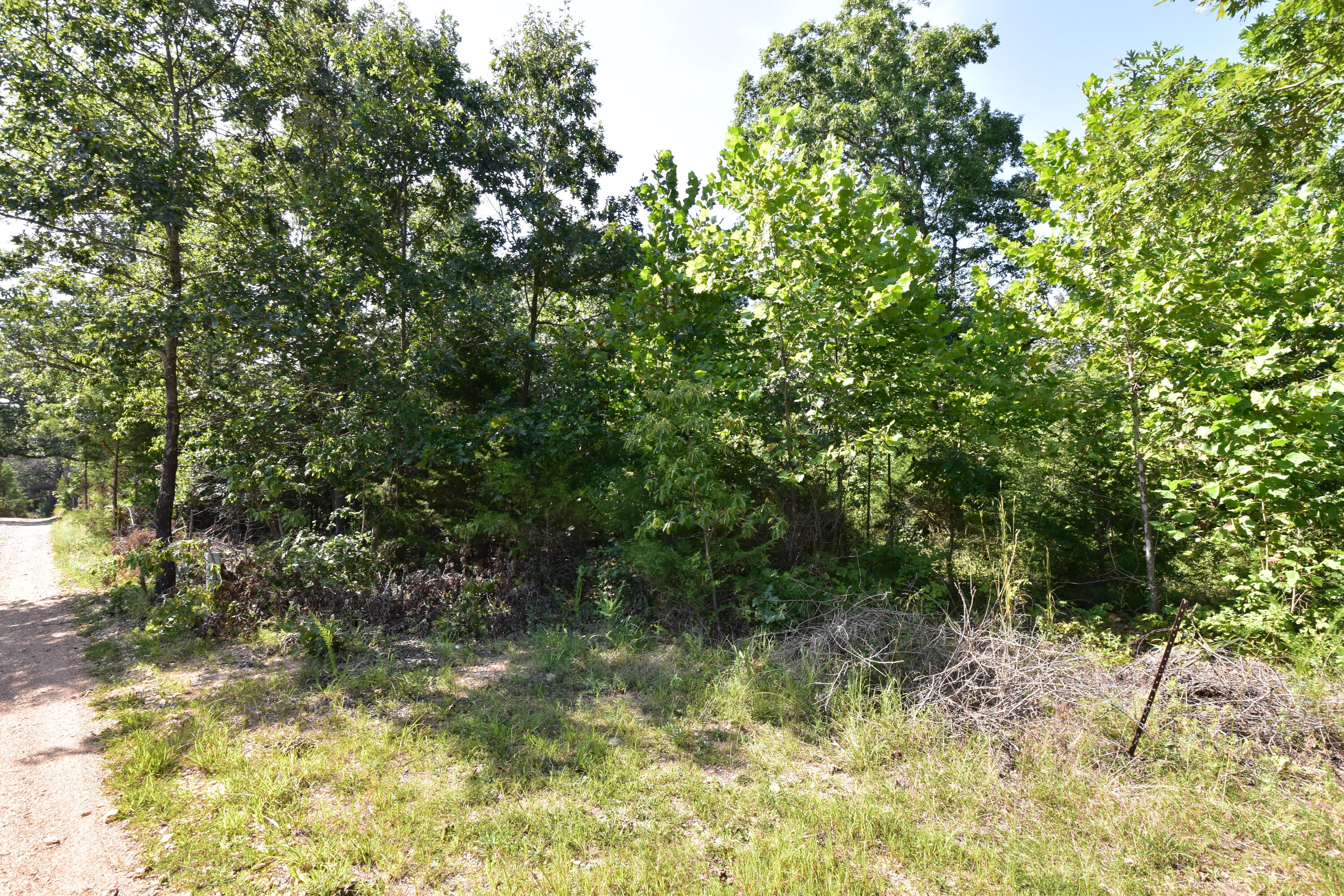 Photo 2 - Land for sale – 000  Deckard Road  Fordland, MO