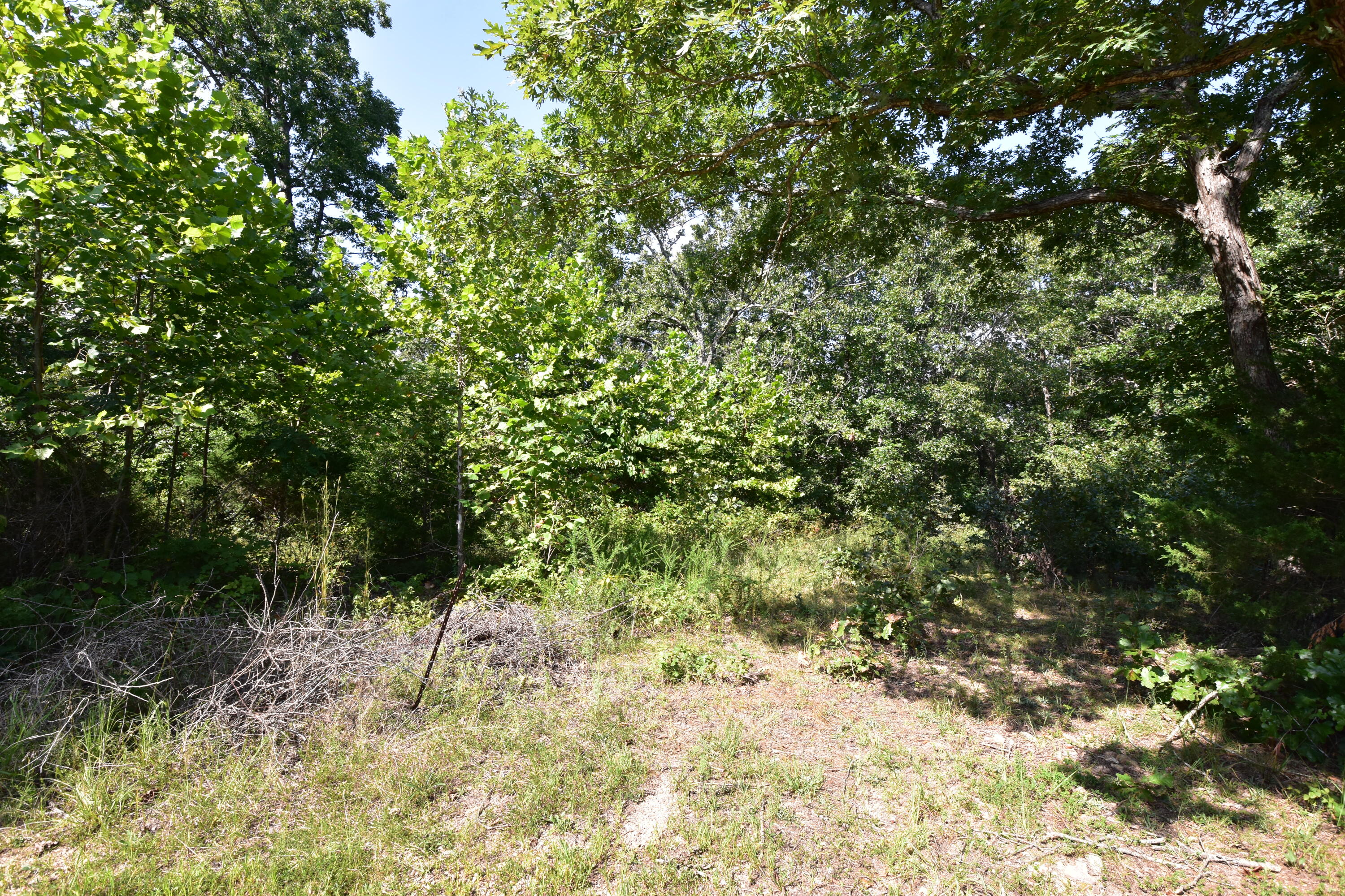 Photo 4 - Land for sale – 000  Deckard Road  Fordland, MO