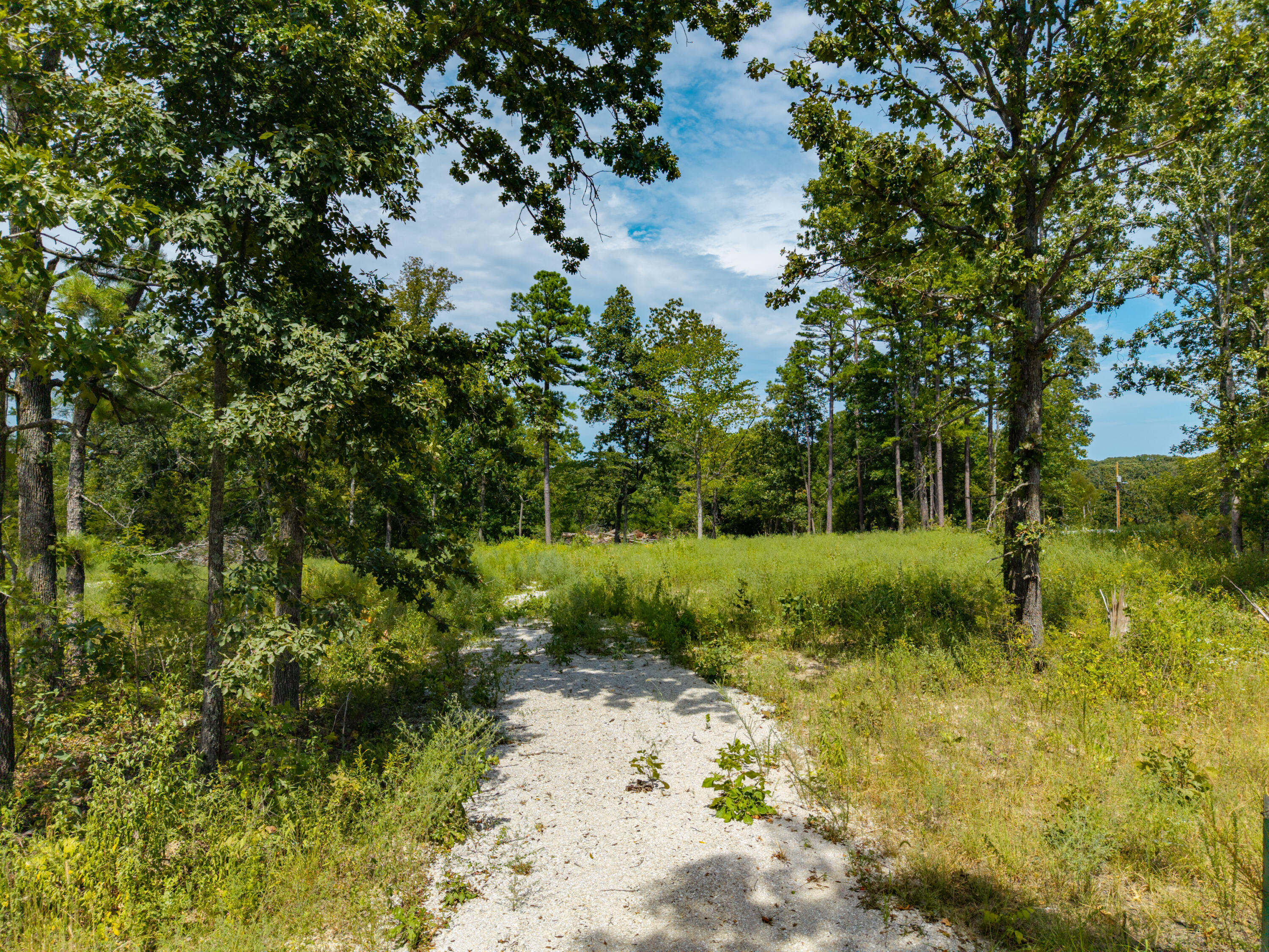 Photo 21 - Land for sale – Lot 3&4  Malberg Road  Cabool, MO