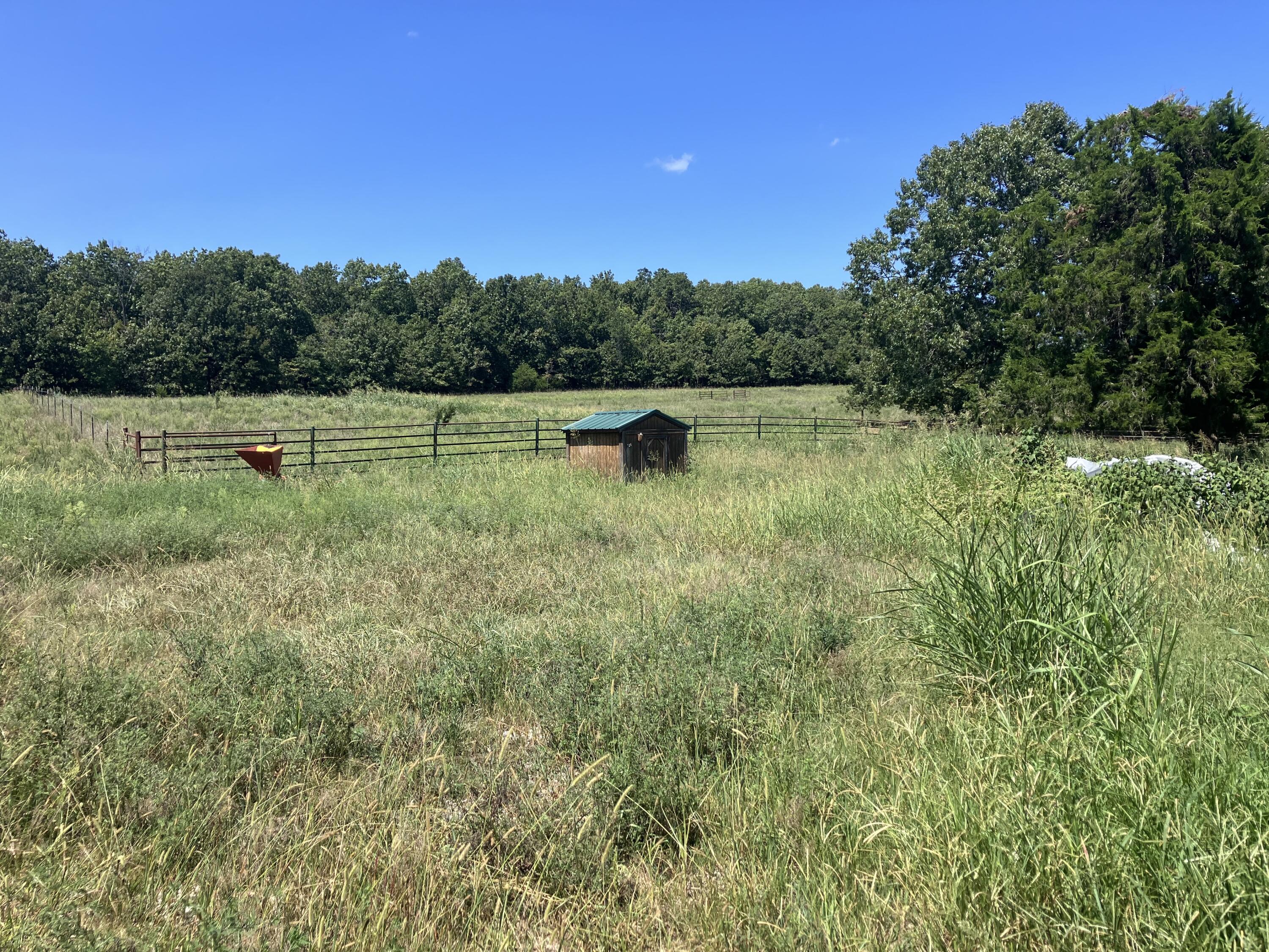 Photo 2 - Farm for sale – 000  County Road 7040   Pottersville, MO