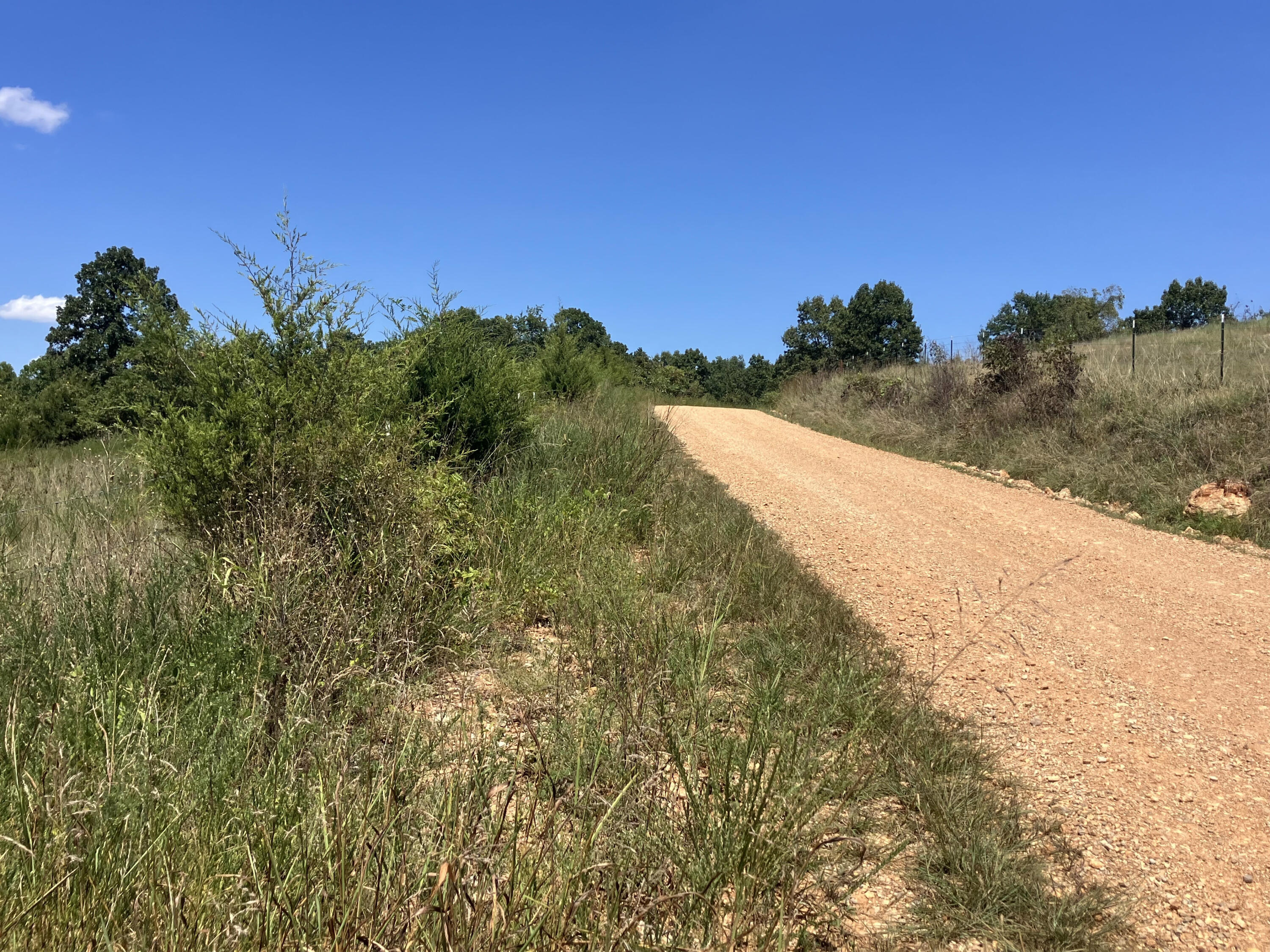 Photo 19 - Farm for sale – 000  County Road 7040   Pottersville, MO