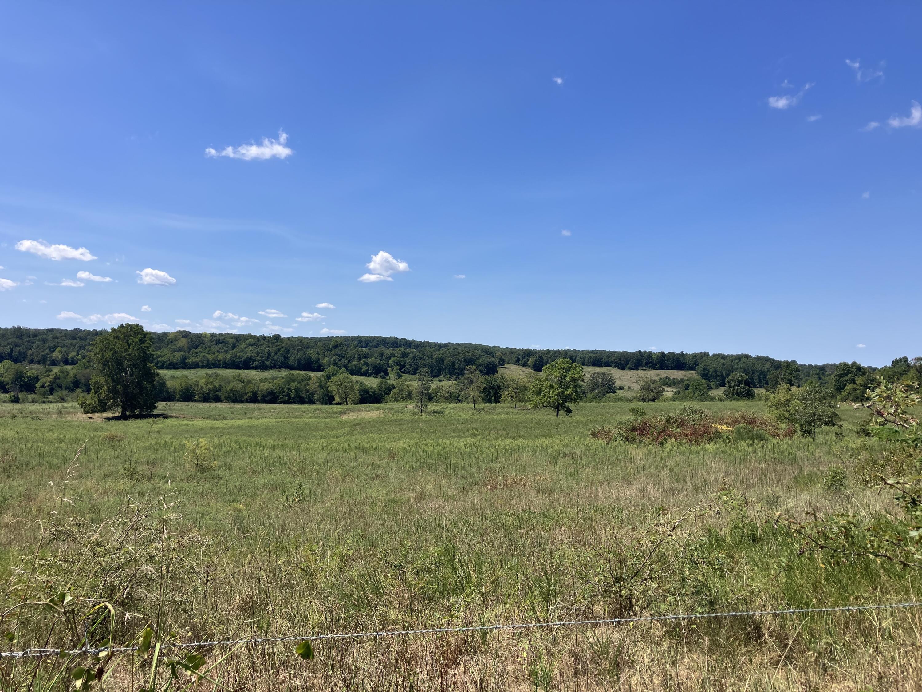 Photo 12 - Farm for sale – 000  County Road 7040   Pottersville, MO