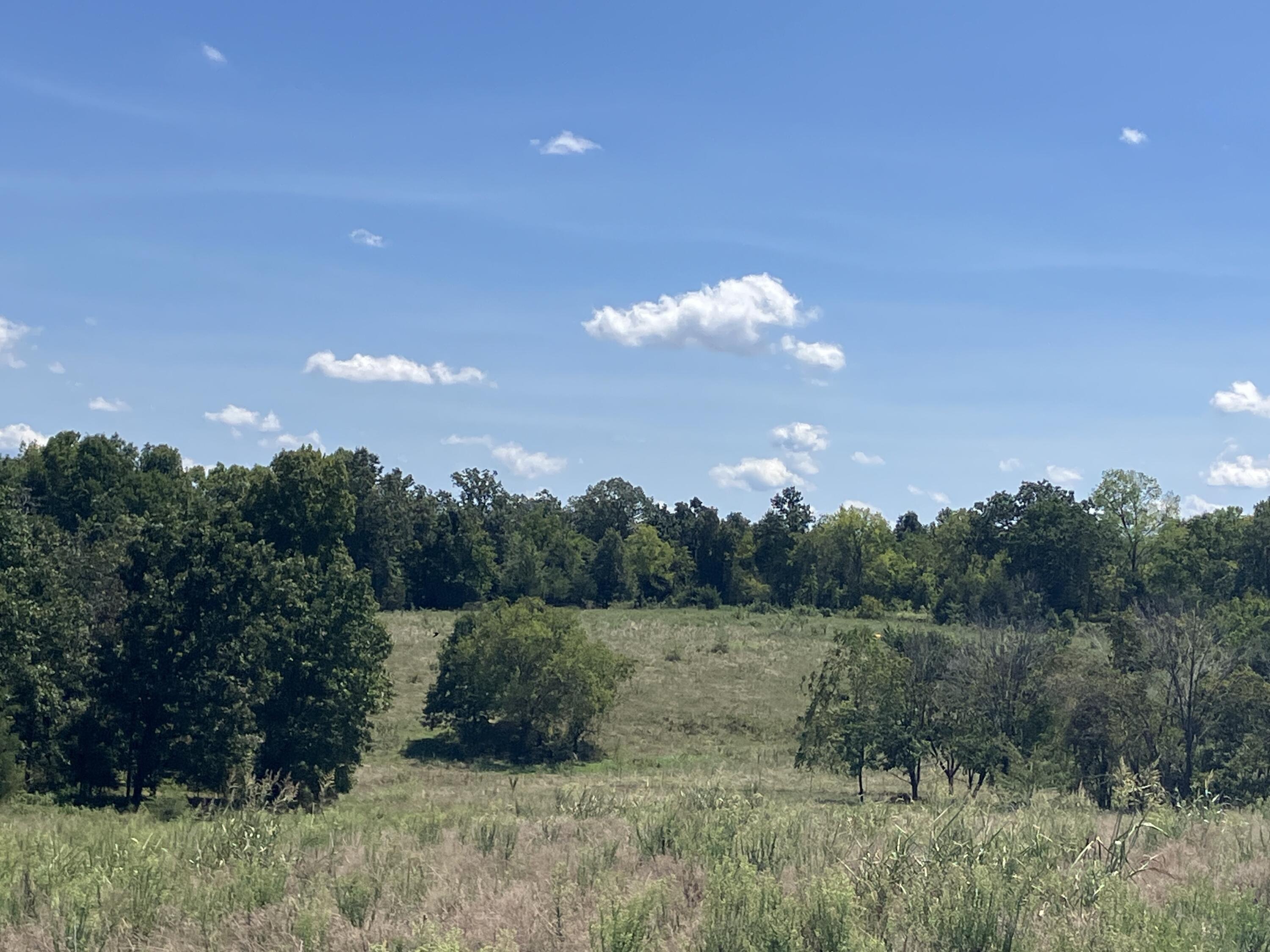 Photo 15 - Farm for sale – 000  County Road 7040   Pottersville, MO