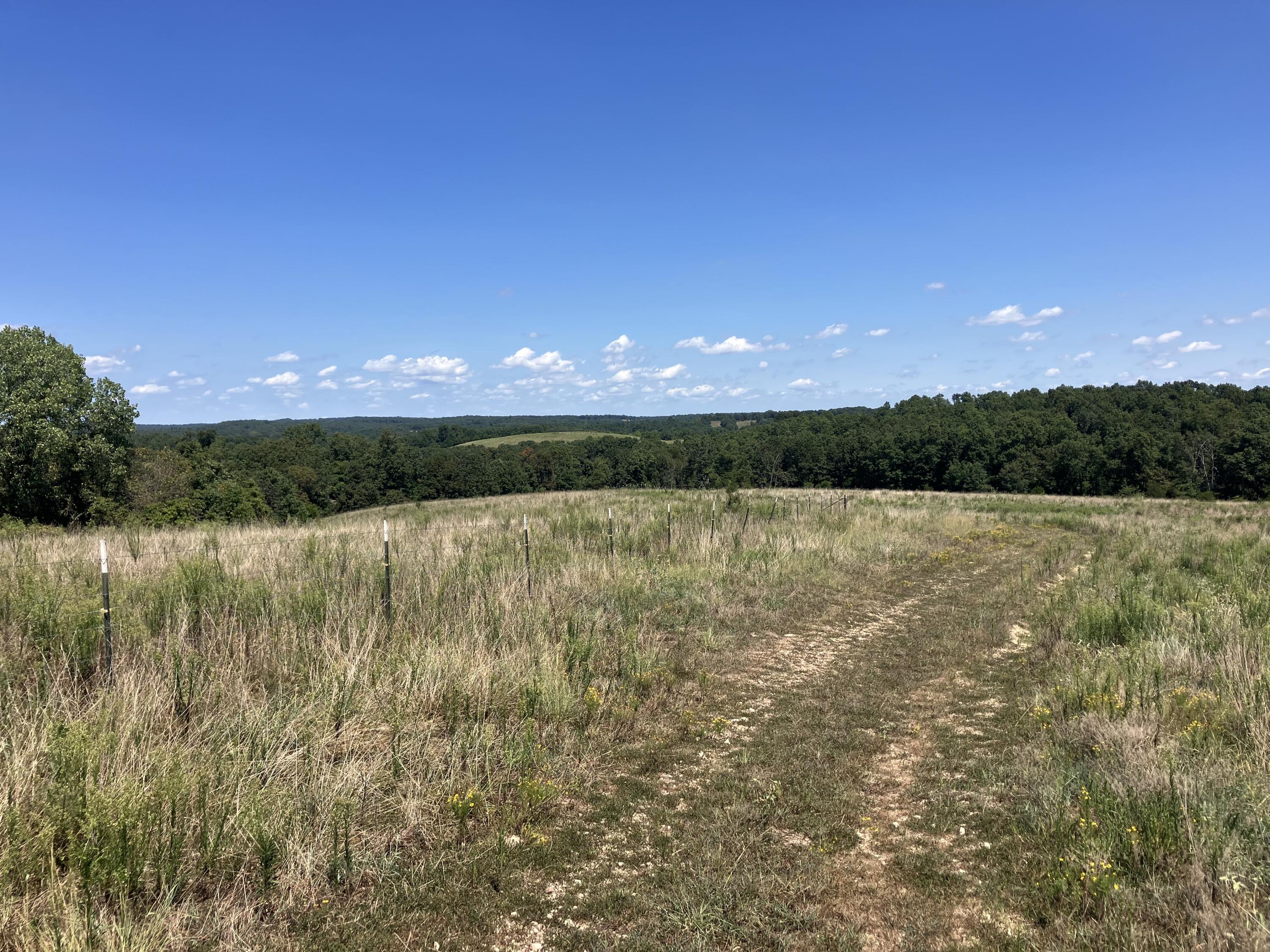Photo 13 - Farm for sale – 000  County Road 7040   Pottersville, MO