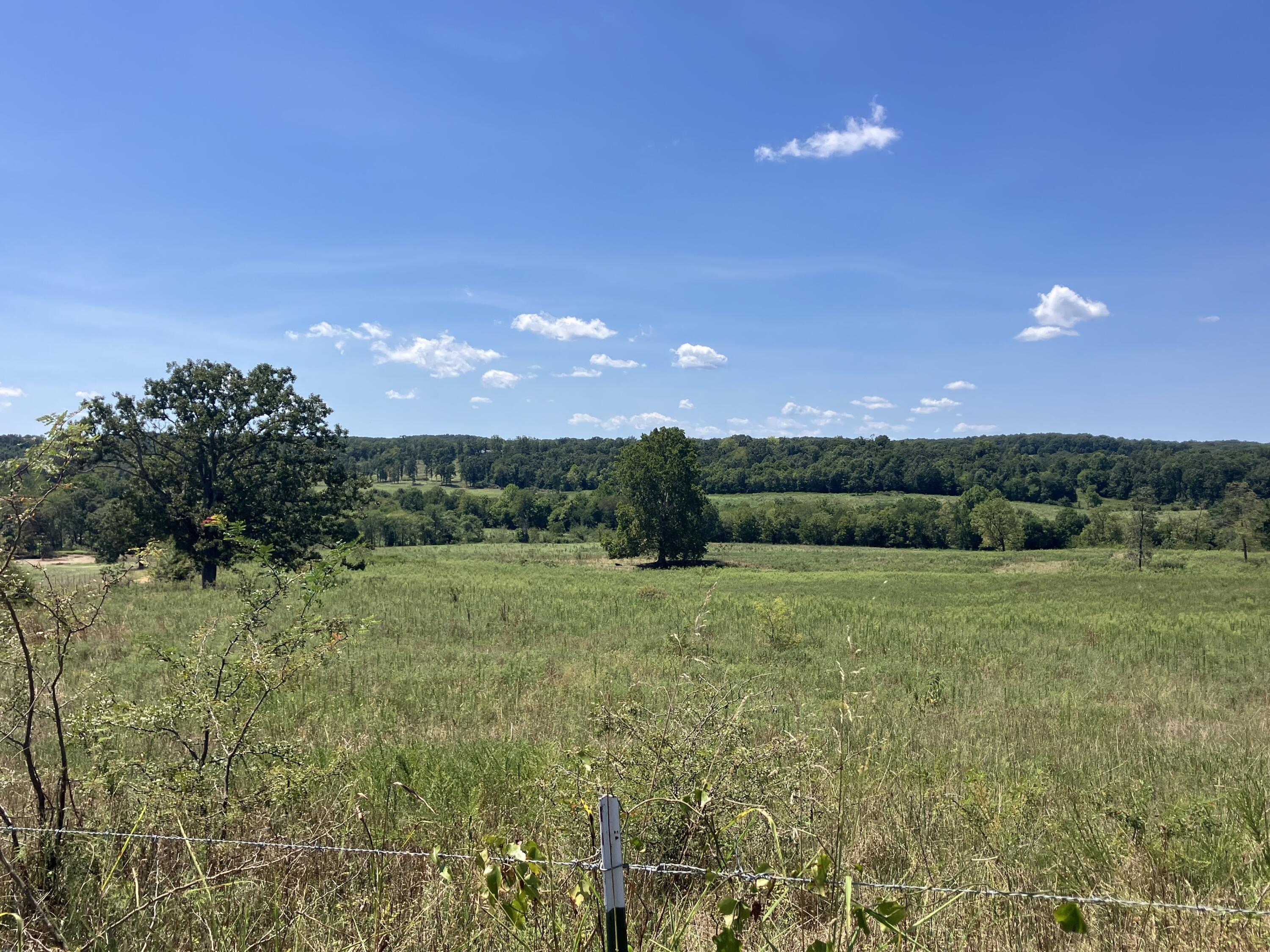 Photo 10 - Farm for sale – 000  County Road 7040   Pottersville, MO