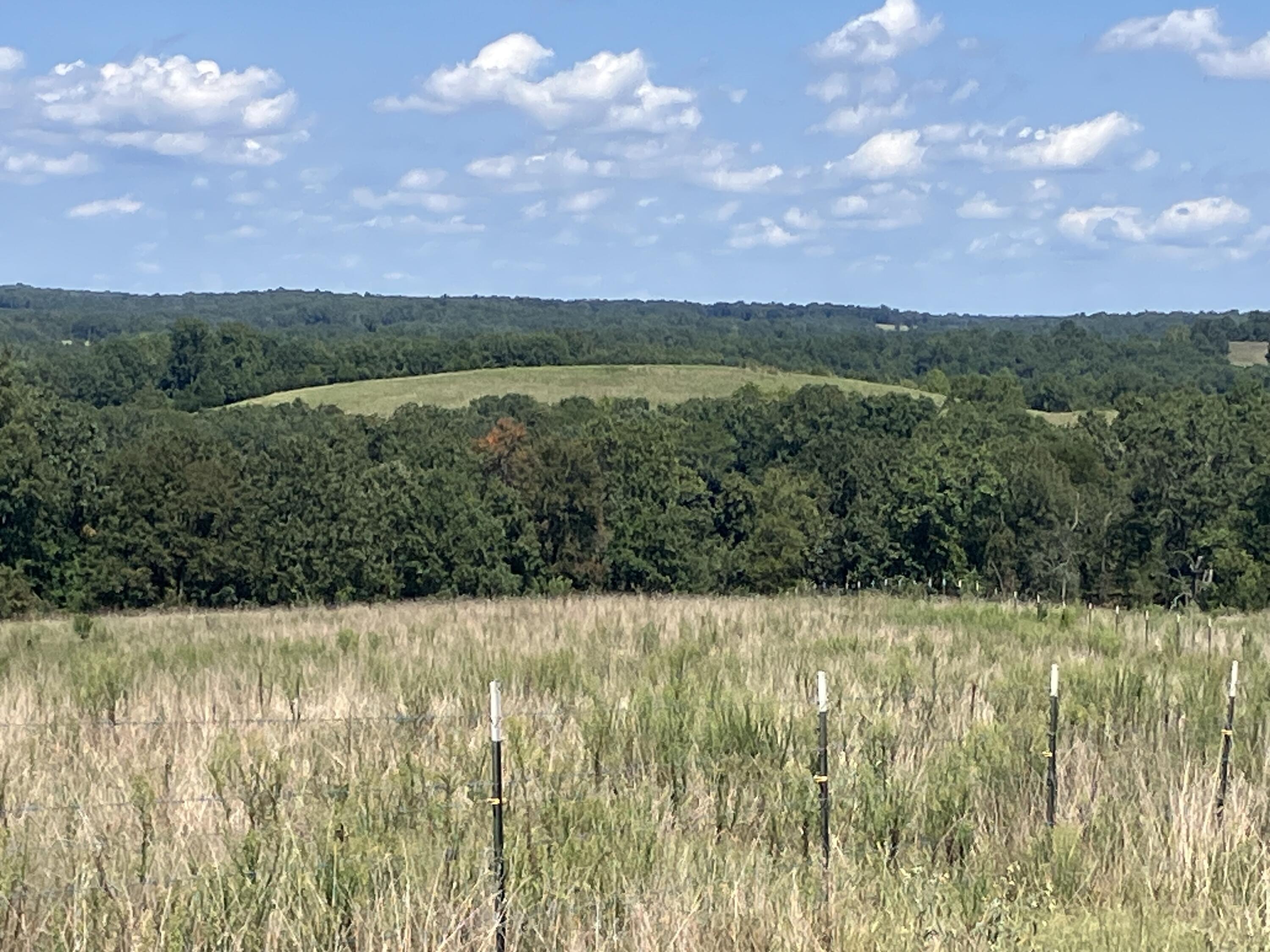 Photo 14 - Farm for sale – 000  County Road 7040   Pottersville, MO