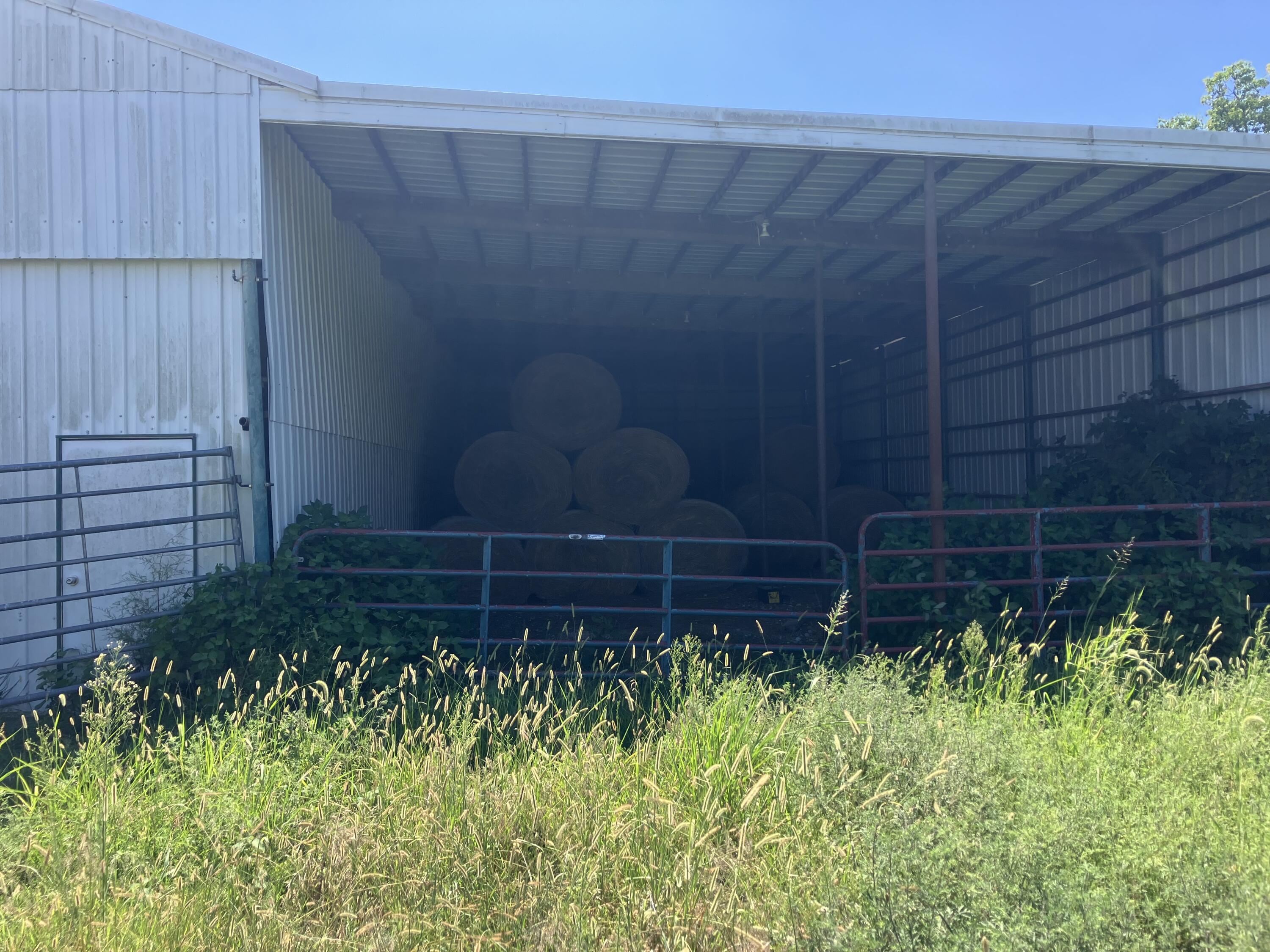 Photo 7 - Farm for sale – 000  County Road 7040   Pottersville, MO