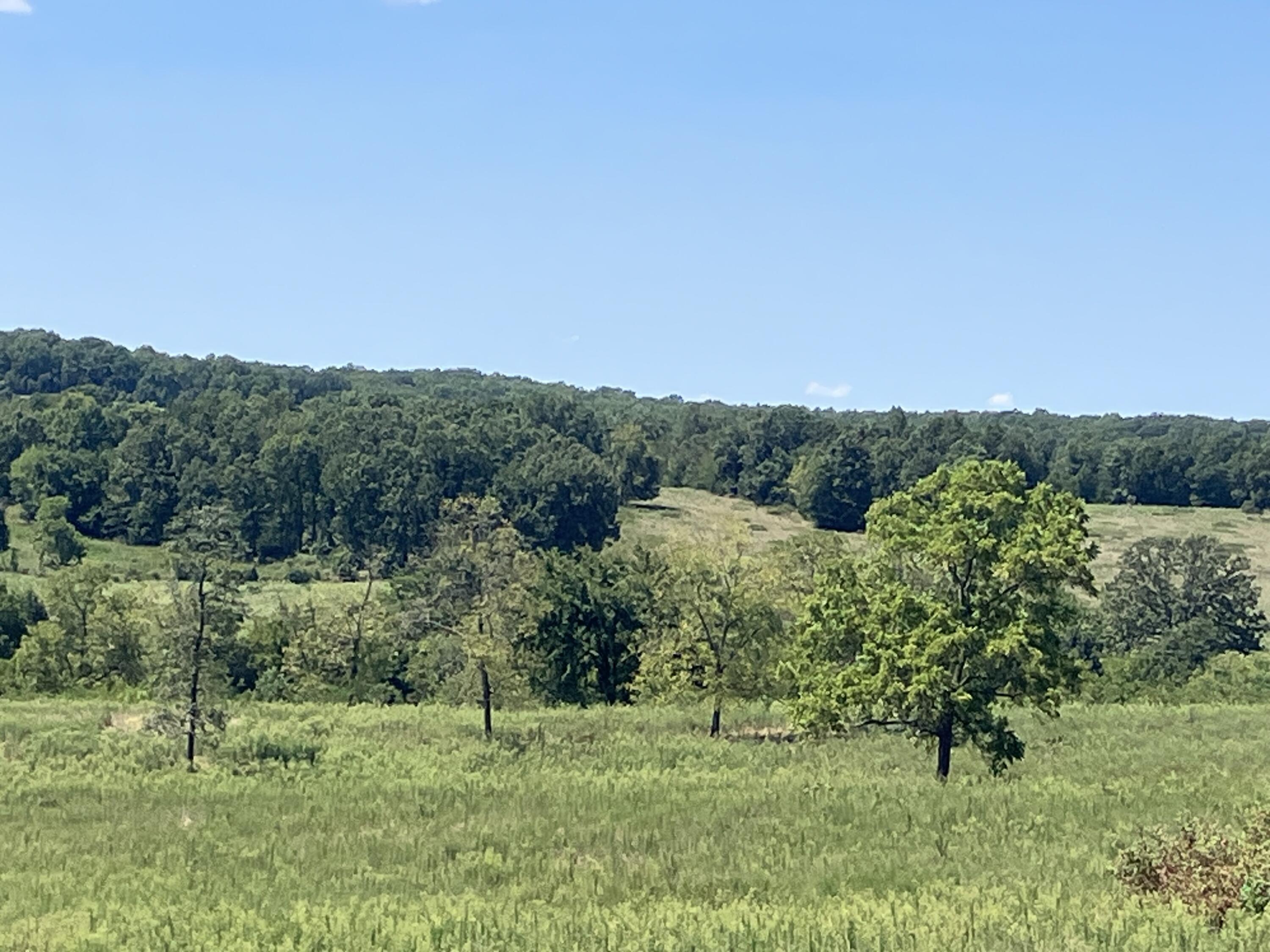 Photo 11 - Farm for sale – 000  County Road 7040   Pottersville, MO