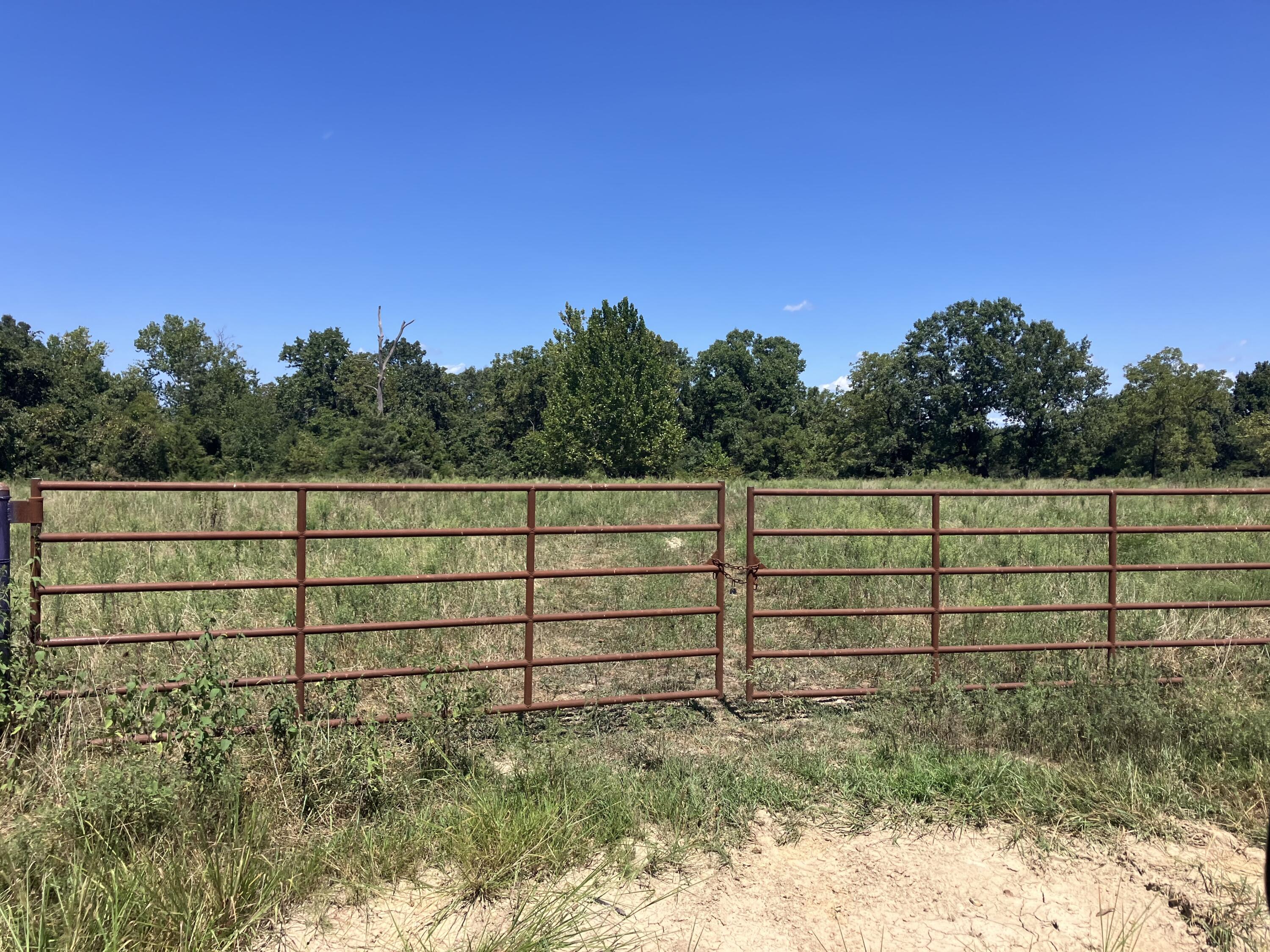 Photo 17 - Land for sale – 000  County Road 7040   Pottersville, MO
