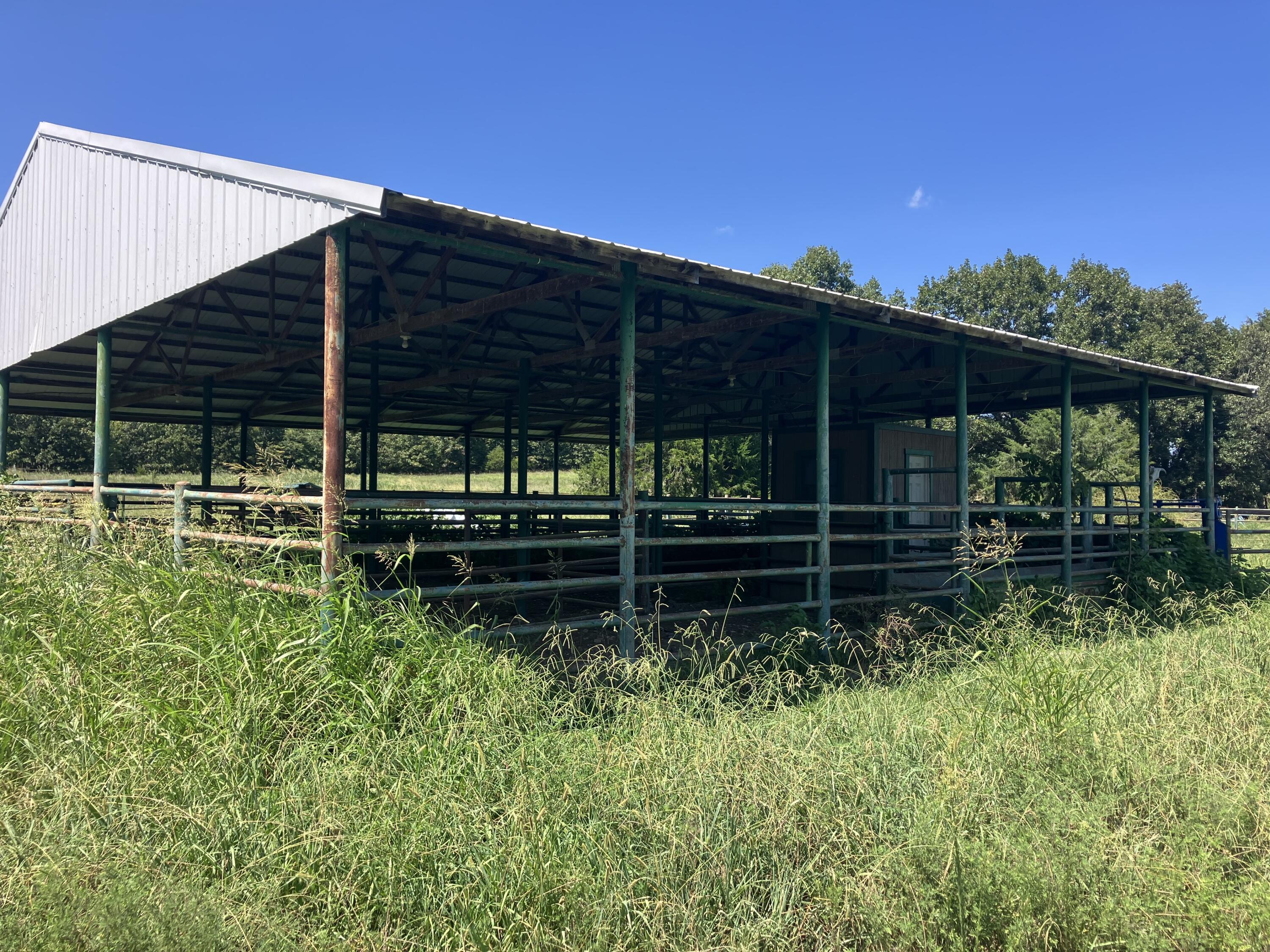 Photo 5 - Land for sale – 000  County Road 7040   Pottersville, MO