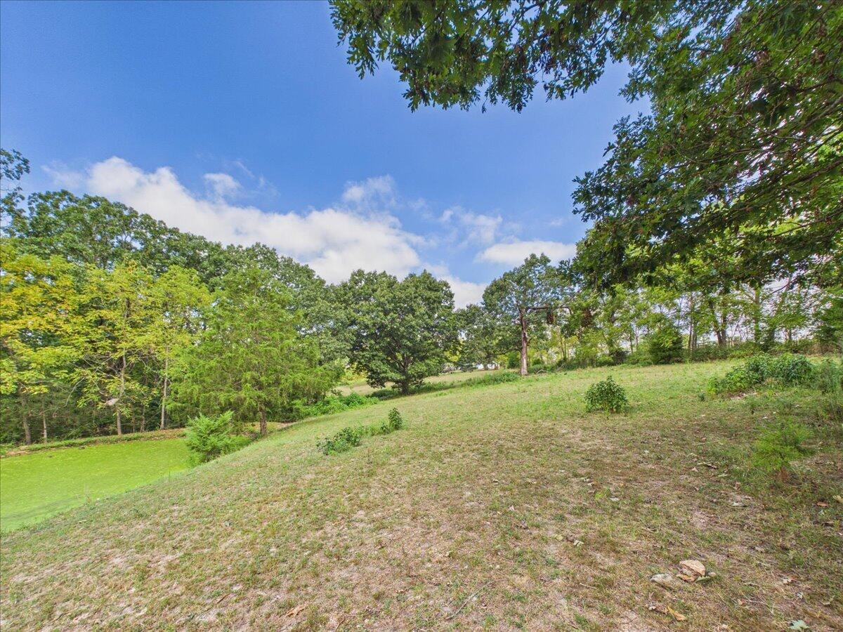 Photo 9 - Residential for sale – 4731  Sellers Ford Road  Hartville, MO