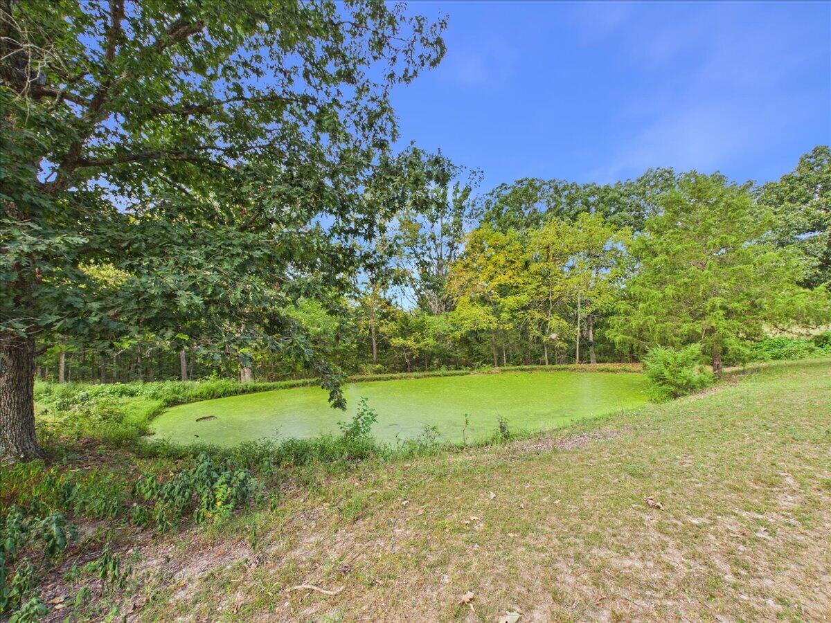Photo 8 - Residential for sale – 4731  Sellers Ford Road  Hartville, MO