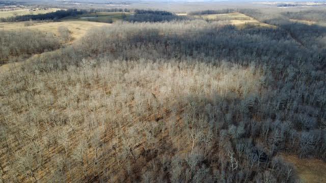 Photo 16 - Land for sale – 000  P Highway  Koshkonong, MO