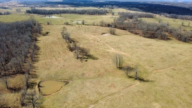 Photo 3 - Land for sale – 000  P Highway  Koshkonong, MO