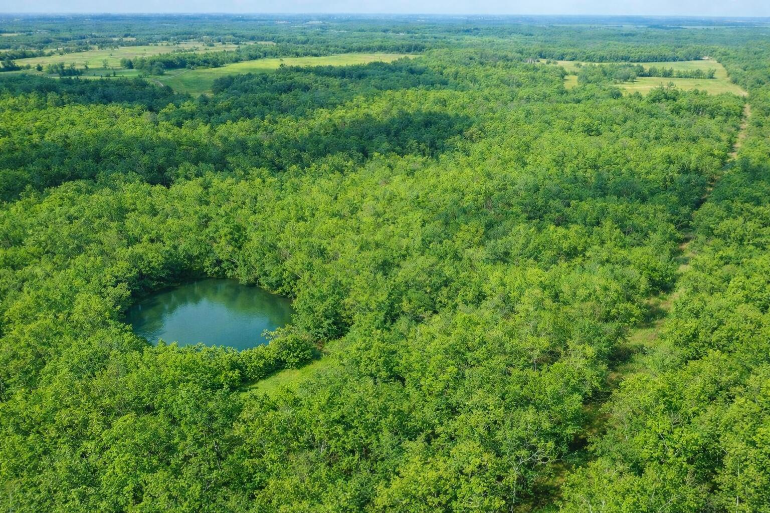 Photo 2 - Land for sale – 000  P Highway  Koshkonong, MO