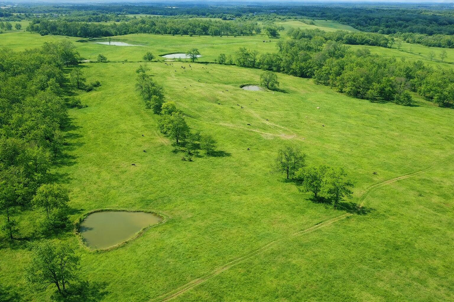 Land for sale – 000  P Highway  Koshkonong, MO