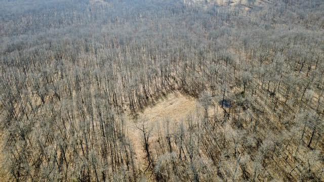 Photo 5 - Land for sale – 000  P Highway  Koshkonong, MO