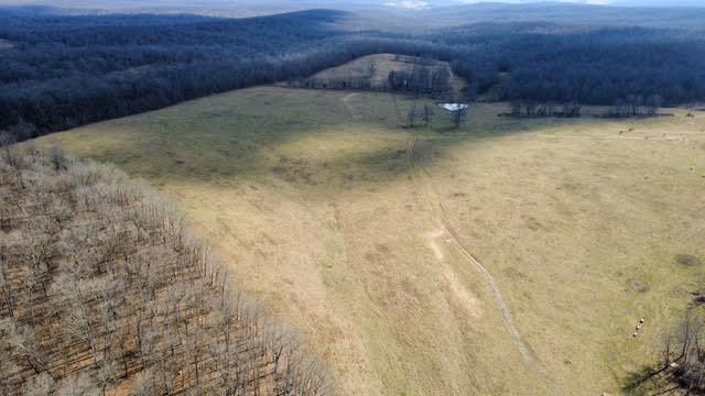 Photo 19 - Land for sale – 000  P Highway  Koshkonong, MO