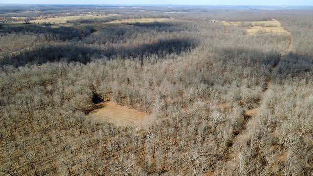 Photo 7 - Land for sale – 000  P Highway  Koshkonong, MO