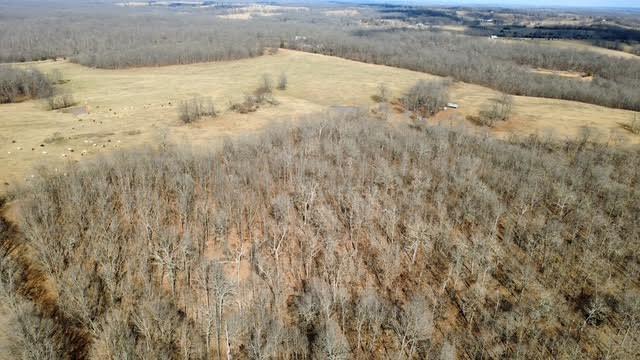 Photo 13 - Land for sale – 000  P Highway  Koshkonong, MO