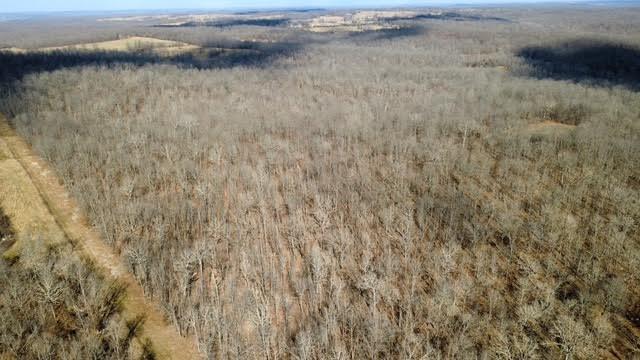 Photo 14 - Land for sale – 000  P Highway  Koshkonong, MO
