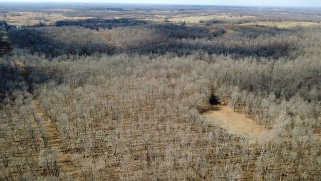 Photo 6 - Land for sale – 000  P Highway  Koshkonong, MO
