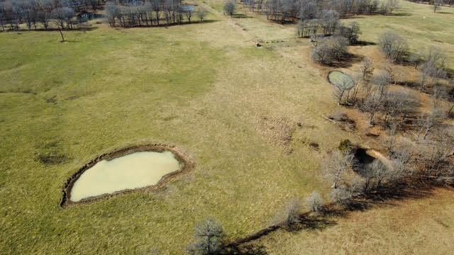 Photo 10 - Land for sale – 000  P Highway  Koshkonong, MO