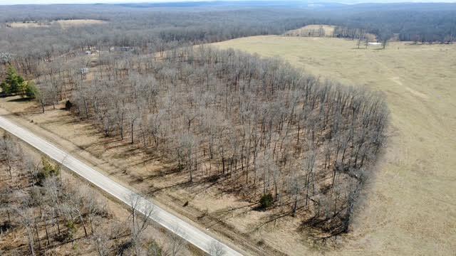 Photo 8 - Land for sale – 000  P Highway  Koshkonong, MO