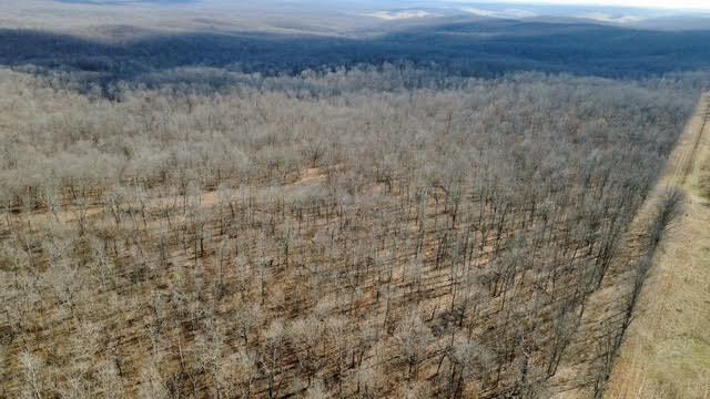 Photo 12 - Land for sale – 000  P Highway  Koshkonong, MO