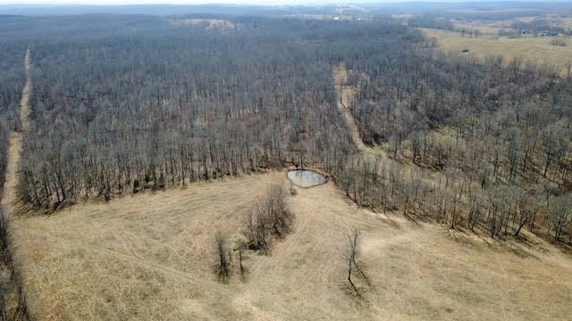 Photo 4 - Land for sale – 000  P Highway  Koshkonong, MO