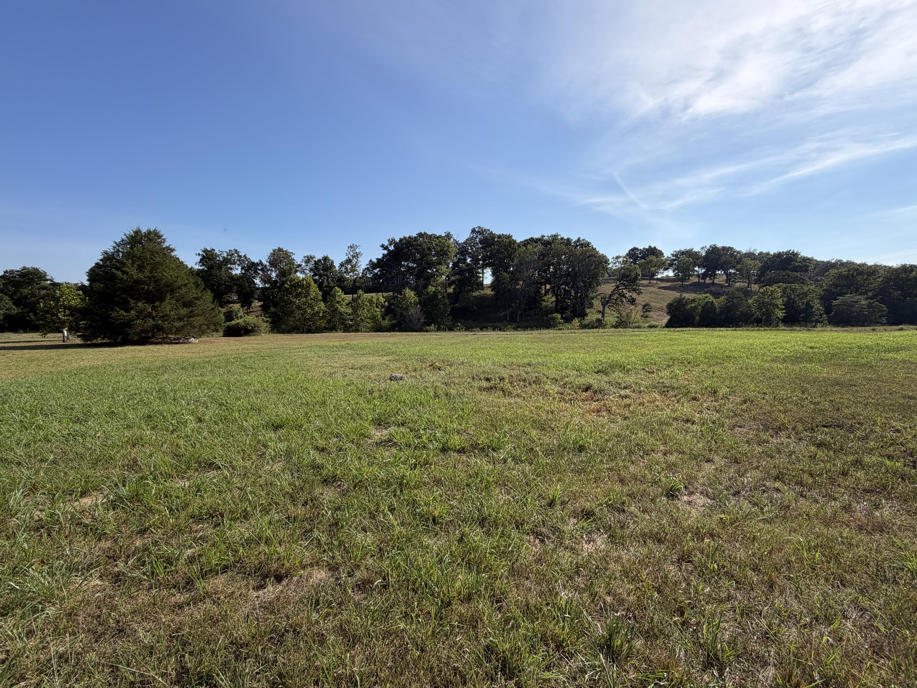 Photo 3 - Land for sale – Lot 27  Spring Valley Drive  Mammoth Spring, AR
