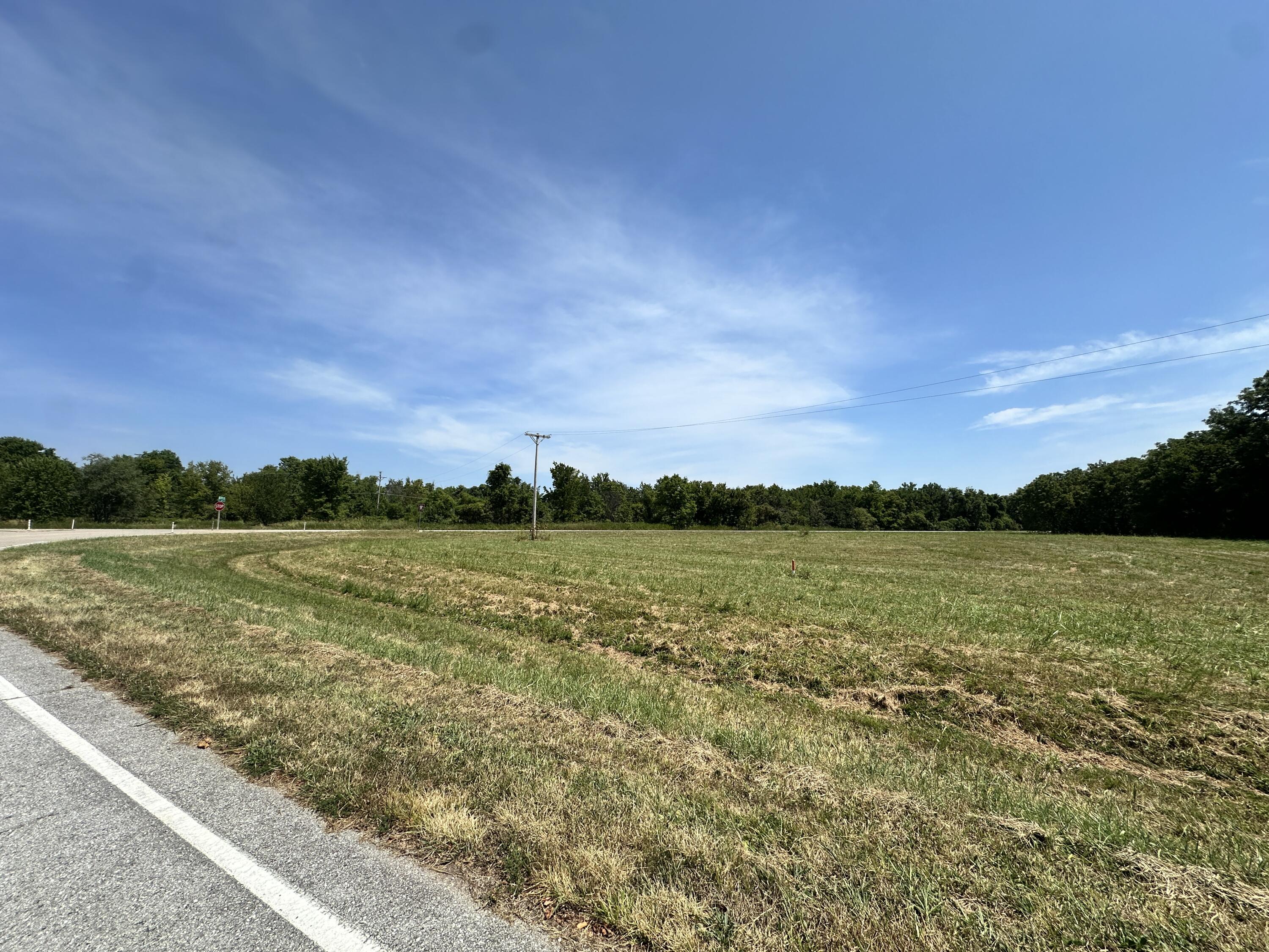 Photo 5 - Land for sale – 91  Farm Road  Willard, MO