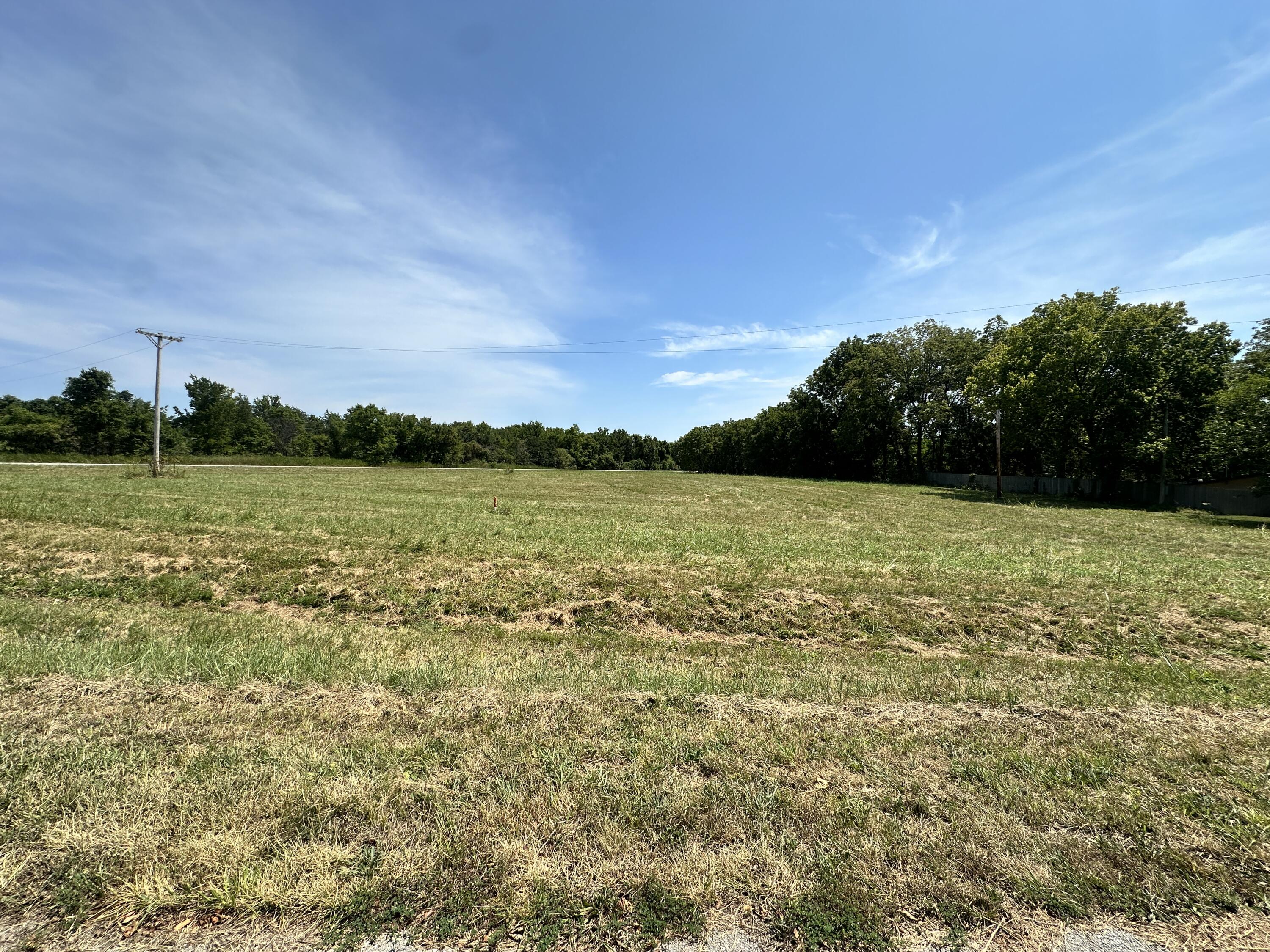 Photo 4 - Land for sale – 91  Farm Road  Willard, MO
