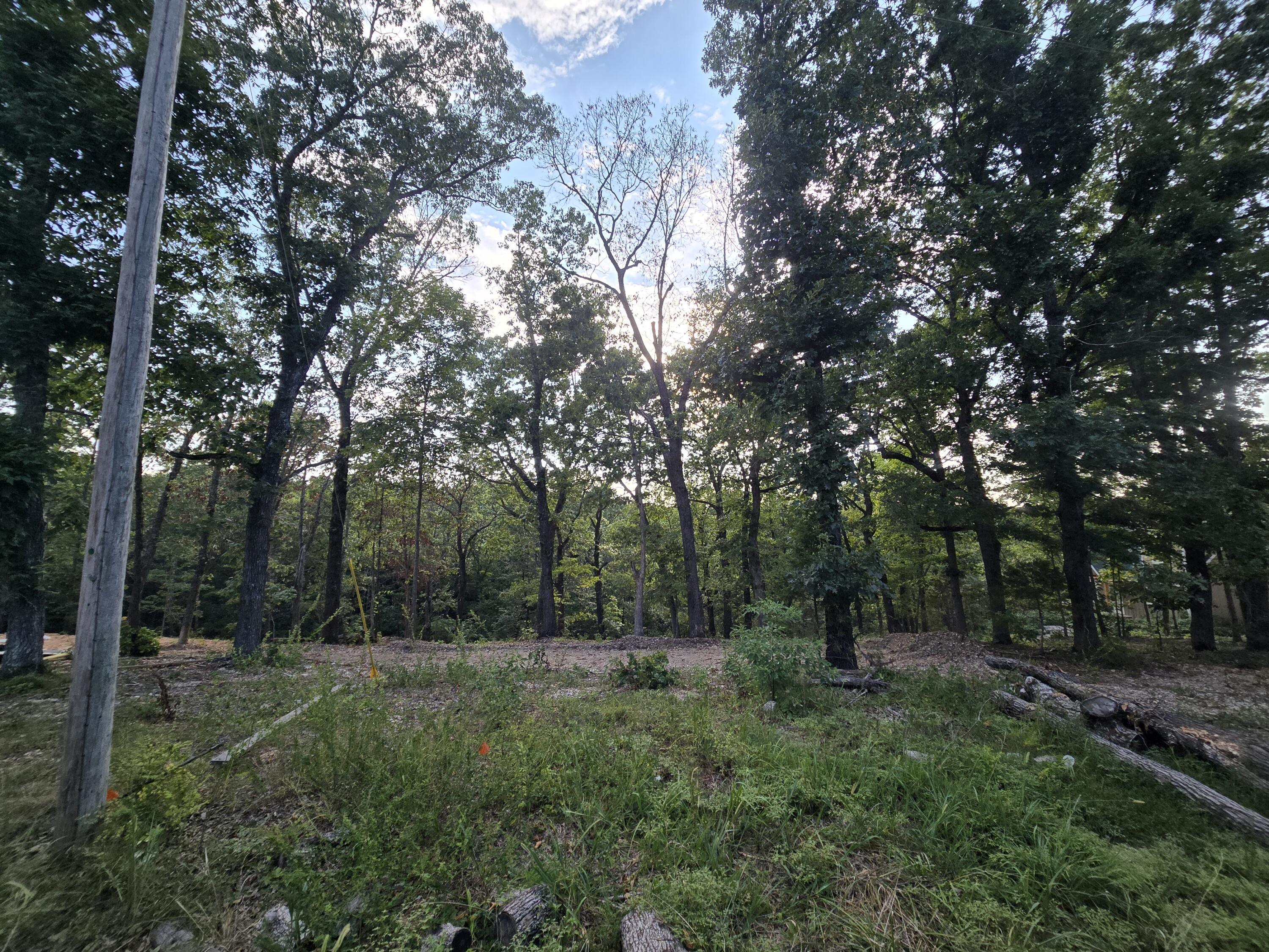 Photo 3 - Land for sale – Lot 74,  Jeffery Lane   Cape Fair, MO