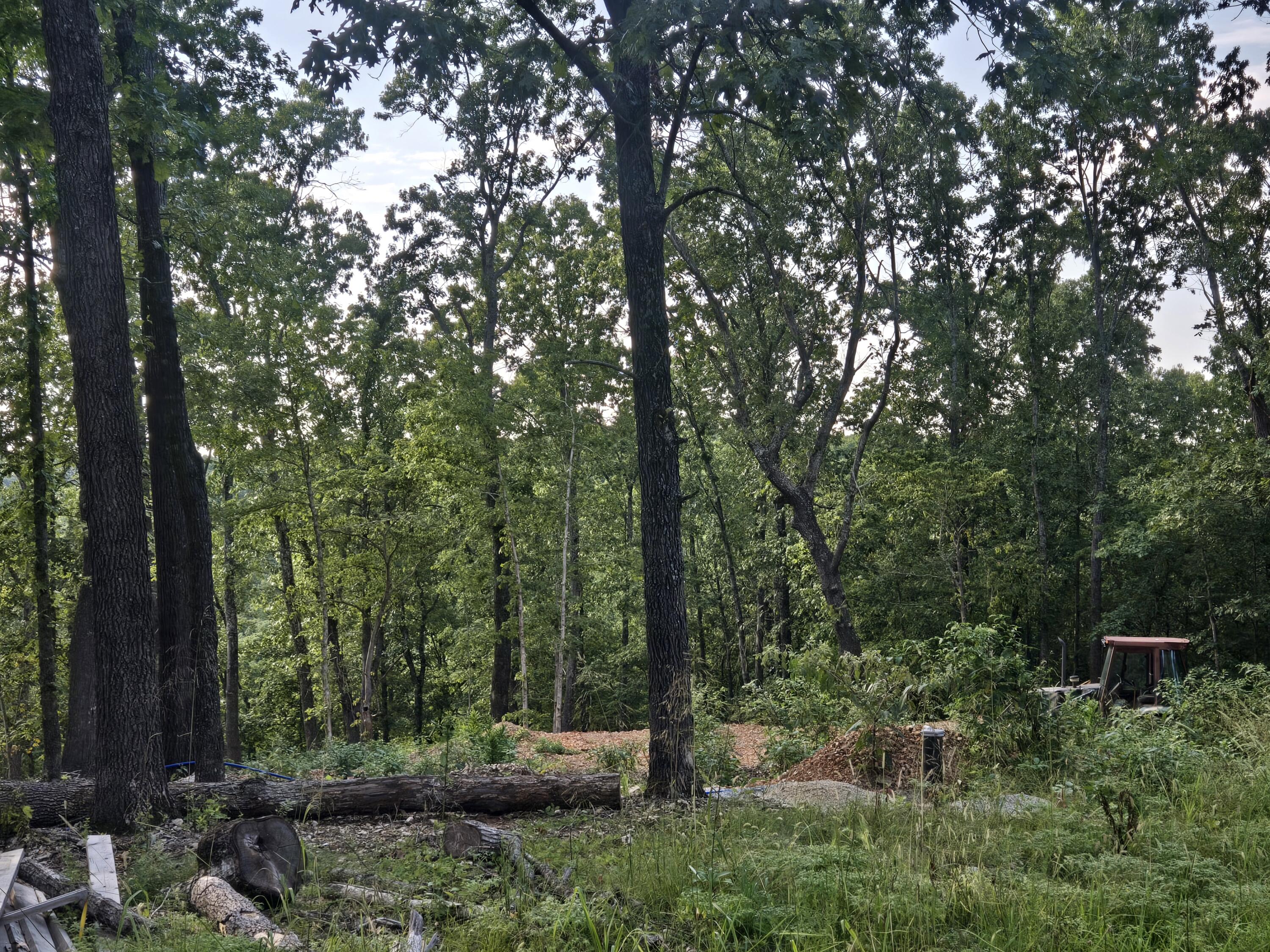 Land for sale – Lot 74,  Jeffery Lane   Cape Fair, MO