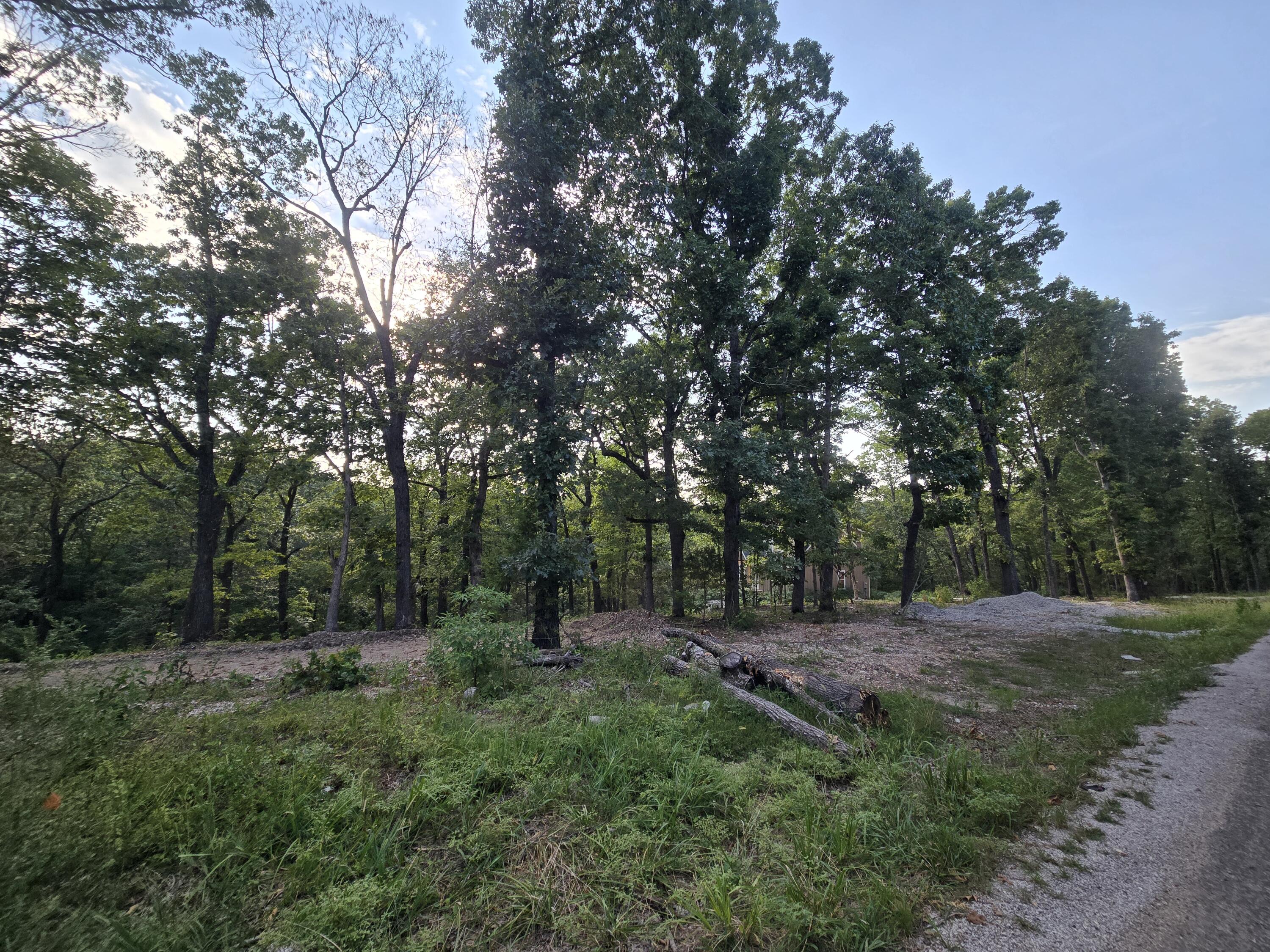 Photo 4 - Land for sale – Lot 74,  Jeffery Lane   Cape Fair, MO