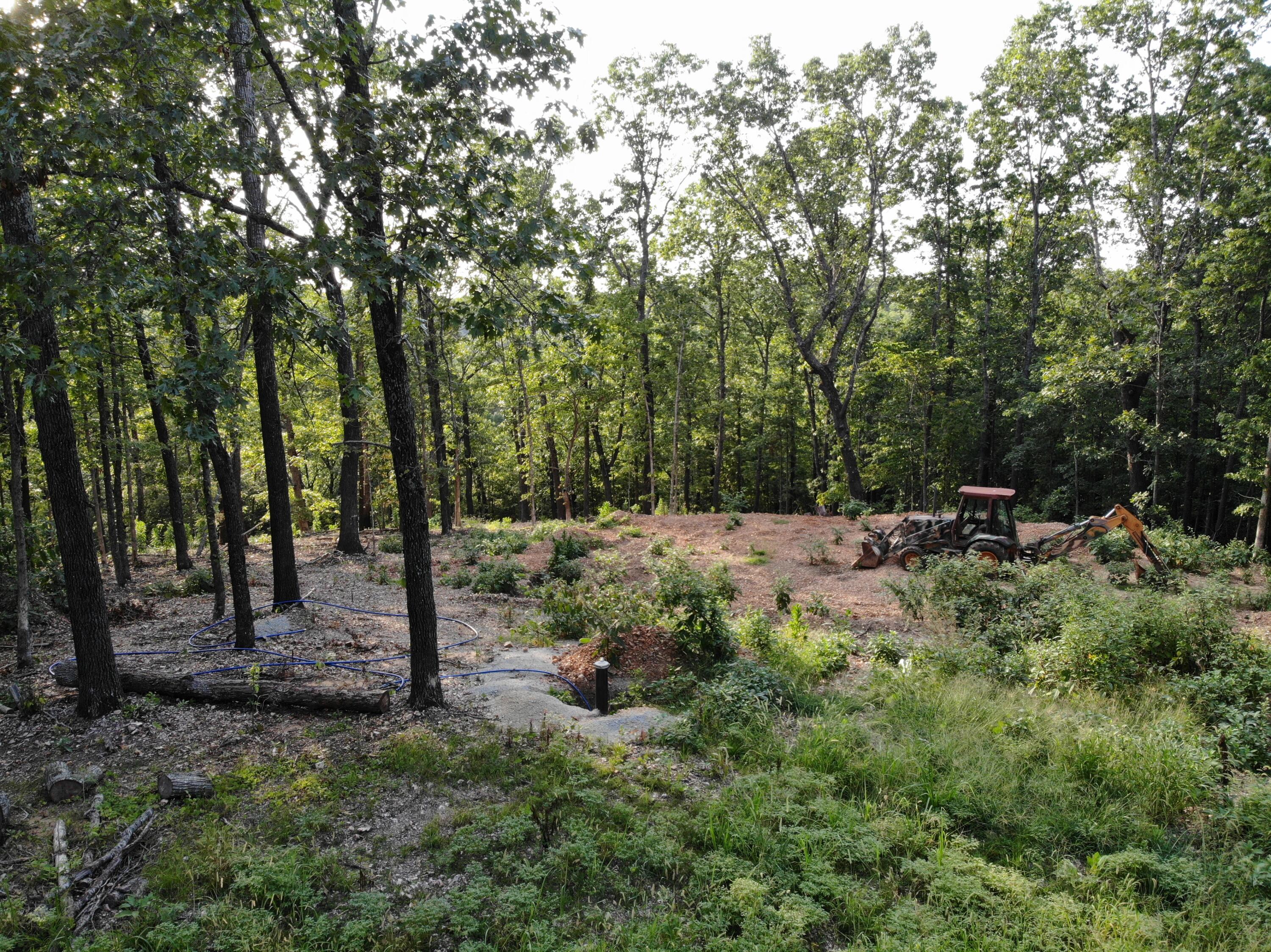 Photo 7 - Land for sale – Lot 74,  Jeffery Lane   Cape Fair, MO