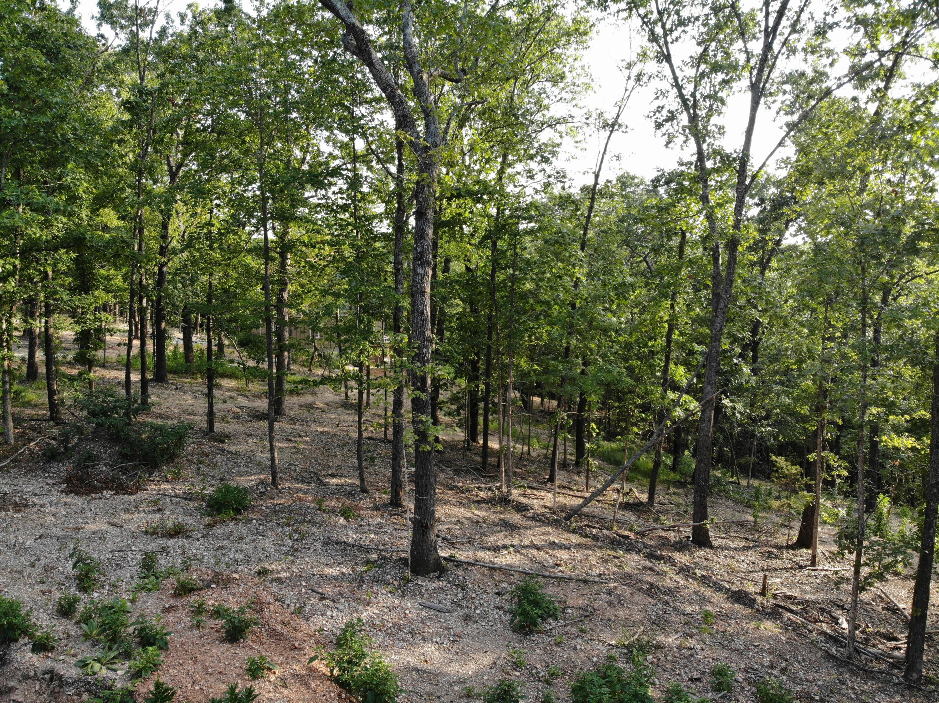 Photo 8 - Land for sale – Lot 74,  Jeffery Lane   Cape Fair, MO
