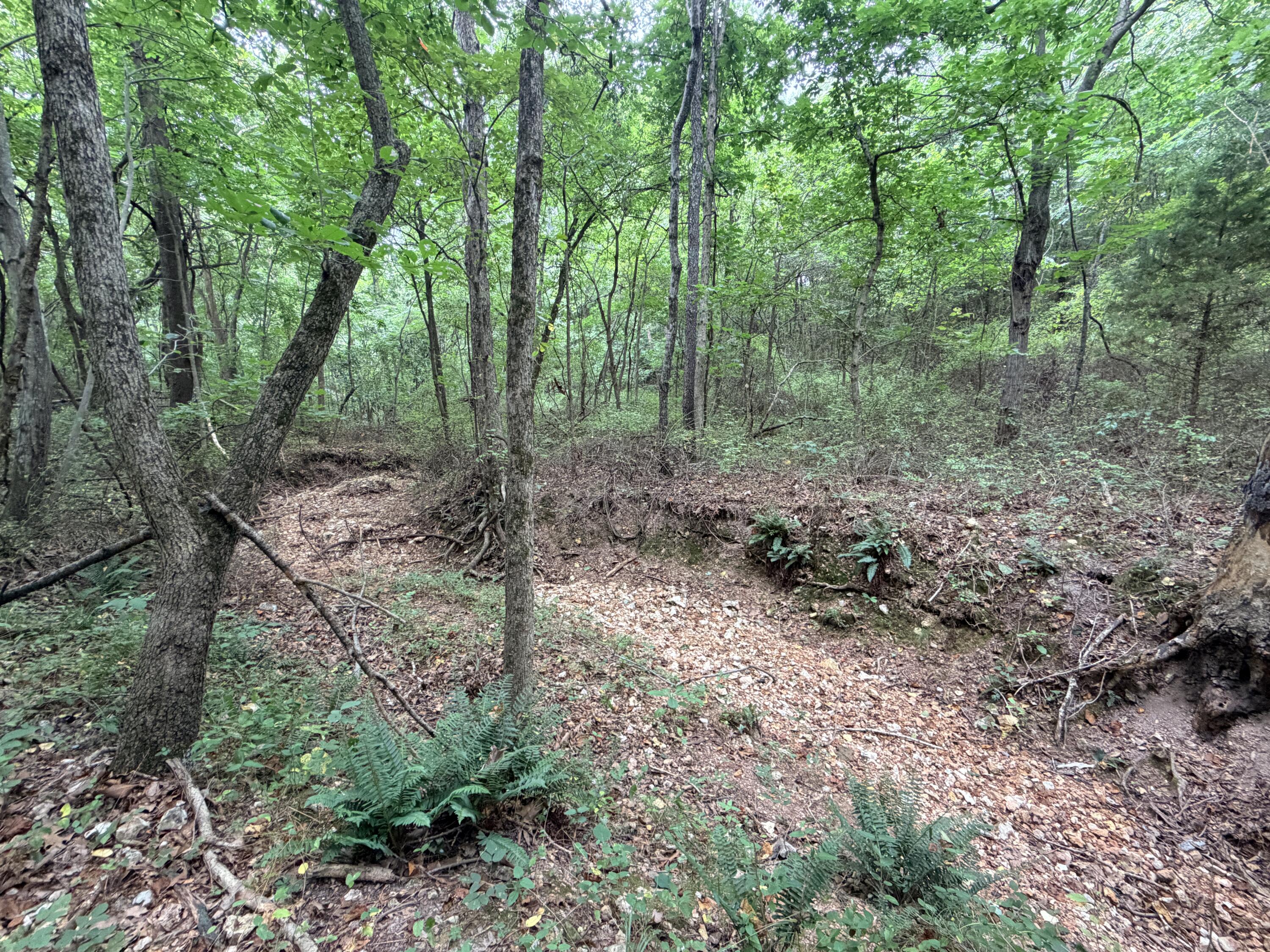 Photo 5 - Land for sale – 240  Colton Lane  Stella, MO