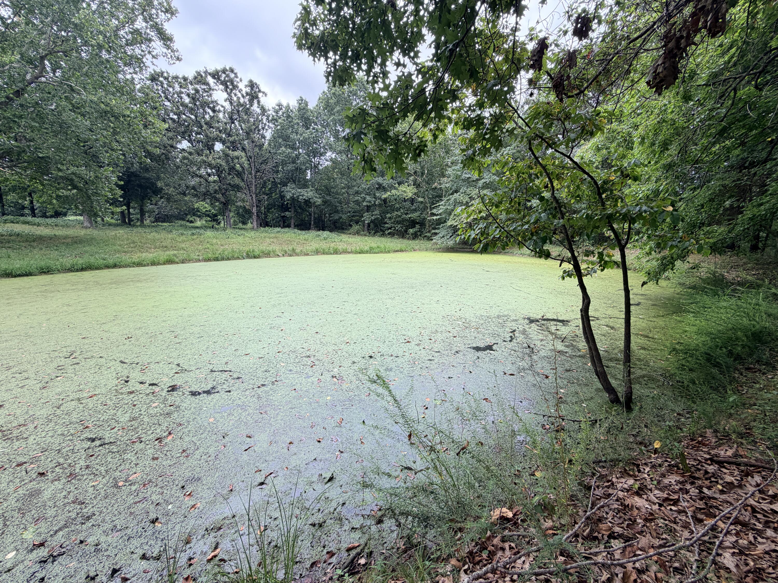 Photo 14 - Land for sale – 240  Colton Lane  Stella, MO