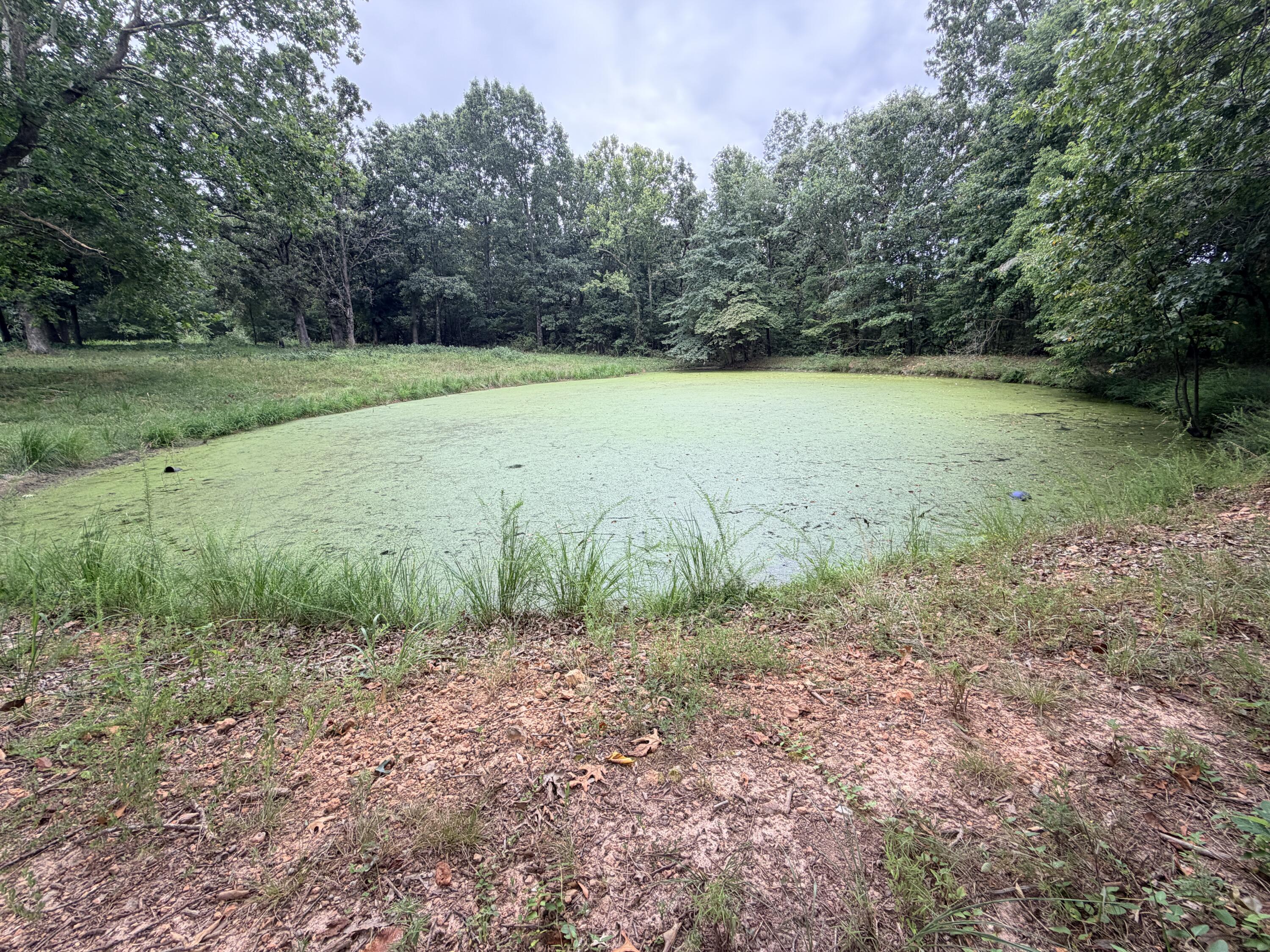 Photo 9 - Land for sale – 240  Colton Lane  Stella, MO