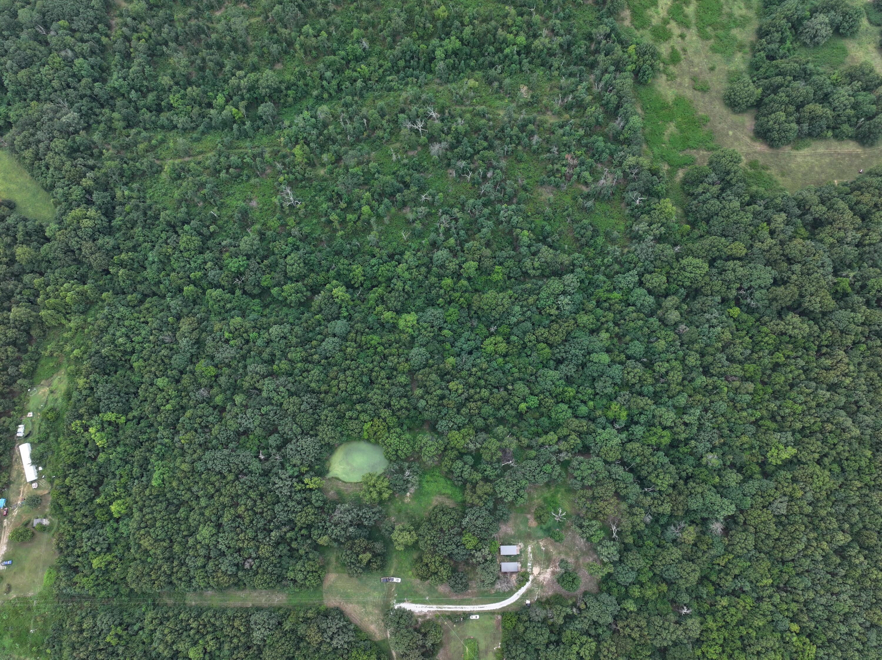 Photo 6 - Land for sale – 240  Colton Lane  Stella, MO
